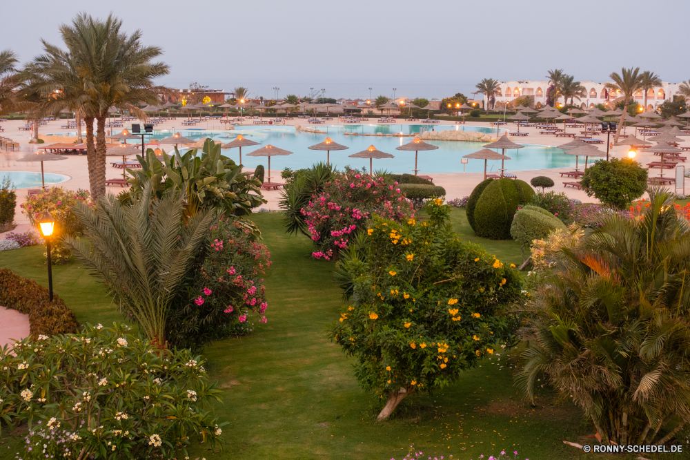 Gorgonia Beach Resort Stechginster Pflanze woody plant Strauch Baum Garten vascular plant Landschaft Blume Himmel Blumen Sommer Saison Gras gelb Wald Reisen Szenerie Kaktus Park Wasser bunte im freien Herbst Bäume landschaftlich Frühling Szene sonnig Flora Pflanzen Orange Bedder See Sonne im freien natürliche Tourismus Blatt Blumen blühen Feld Berg blühen Farbe Landschaft Tourist fallen ruhige Gartenpflanze Wiese Gartenarbeit Blüte Berge Tag friedliche Stadt Sonnenlicht Fluss Entwicklung des ländlichen Wüste Belaubung Wolken Horizont Wachstum Panorama Pfad Rasen Sonnenschein hell Holz Land saisonale Blätter Floral Strand Hügel Ufer Tulpe Sonnenuntergang Küste Licht Organismus Landwirtschaft aquatische frisch Meer Fels Struktur Architektur alt Stein idyllische Ozean Umgebung warm Reflexion Kraut Gebäude Bauernhof gorse plant woody plant shrub tree garden vascular plant landscape flower sky flowers summer season grass yellow forest travel scenery cactus park water colorful outdoor autumn trees scenic spring scene sunny flora plants orange bedder lake sun outdoors natural tourism leaf blossom field mountain blooming color countryside tourist fall tranquil garden plant meadow gardening bloom mountains day peaceful city sunlight river rural desert foliage clouds horizon growth panorama path lawn sunshine bright wood country seasonal leaves floral beach hill shore tulip sunset coast light organism agriculture aquatic fresh sea rock structure architecture old stone idyllic ocean environment warm reflection herb building farm