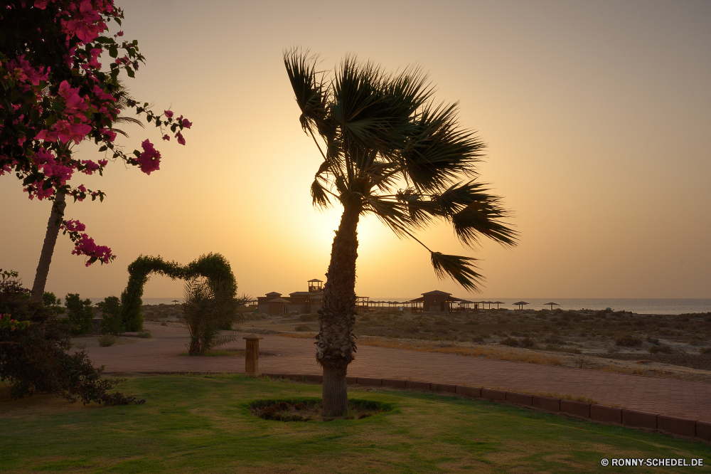 Lahami Bay Beach and Garden Resort Baum Strand woody plant Palm Ozean Himmel Tropischer Meer Kokosnuss Sand vascular plant Insel Urlaub Reisen Landschaft Sonnenuntergang Wasser Paradies Sonne cabbage tree Bäume Sommer Horizont Küste Entspannen Sie sich Urlaub Ufer Pflanze Tourismus Wolke landschaftlich Resort Wolken friedliche seelandschaft im freien Bucht Entspannung ruhige Ziel exotische Szenerie idyllische Kontur Ruhe Dämmerung Küste Wendekreis natürliche Sonnenaufgang sonnig Yucca Szene Türkis Gras 'Nabend warm entspannende echte Lorbeer klar Frieden heiß Tropen Strauch Welle am Meer Feld Reflexion Morgenröte Pazifik Beleuchtung Reise Park im freien romantische Sonnenlicht Palmen Handflächen bunte außerhalb Klima gelassene Kiefer Orange Farbe Tourist Sonnenuntergang Apparat Schwimmen Erholung Nacht Saison niemand tree beach woody plant palm ocean sky tropical sea coconut sand vascular plant island vacation travel landscape sunset water paradise sun cabbage tree trees summer horizon coast relax holiday shore plant tourism cloud scenic resort clouds peaceful seascape outdoor bay relaxation tranquil destination exotic scenery idyllic silhouette calm dusk coastline tropic natural sunrise sunny yucca scene turquoise grass evening warm relaxing true laurel clear peace hot tropics shrub wave seaside field reflection dawn pacific lighting trip park outdoors romantic sunlight palm trees palms colorful outside climate serene pine orange color tourist sundown apparatus swim recreation night season nobody