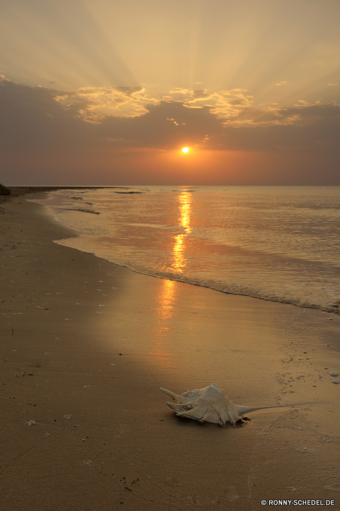 Lahami Bay Beach and Garden Resort Strand Sonnenuntergang Ozean Sonne Meer Sand Wasser Himmel Reisen Sonnenaufgang Landschaft Küste am Meer Wolken Urlaub Ufer 'Nabend Dämmerung Insel Sommer Sandbank Tropischer Horizont Welle Bar Urlaub friedliche Kontur Reflexion Orange Küste Wellen Wolke Morgenröte Paradies romantische Barrier Grat Tourismus Bucht Boot Boden Entspannung idyllische landschaftlich Entspannen Sie sich im freien Licht Sonnenlicht Golden Farbe ruhige am Morgen Nacht im freien Resort See Ruhe Tourist Küstenlinie Szenerie Szene natürliche Höhe Erde Freizeit seelandschaft Menschen bunte dunkel Baum gelassene Urlaub Urlaub gelb Sterne Surf Fels sonnig Sonnenschein Ziel Gold Mann Sonnenuntergang Tropen Pazifik Himmel Himmelskörper Traum bewölkt Anlegestelle natürliche Wetter Erholung nass Romantik Saison beach sunset ocean sun sea sand water sky travel sunrise landscape coast seaside clouds vacation shore evening dusk island summer sandbar tropical horizon wave bar holiday peaceful silhouette reflection orange coastline waves cloud dawn paradise romantic barrier ridge tourism bay boat soil relaxation idyllic scenic relax outdoors light sunlight golden color tranquil morning night outdoor resort lake calm tourist shoreline scenery scene natural elevation earth leisure seascape people colorful dark tree serene vacations holidays yellow star surf rock sunny sunshine destination gold man sundown tropics pacific heaven celestial body dream cloudy pier natural weather recreation wet romance season