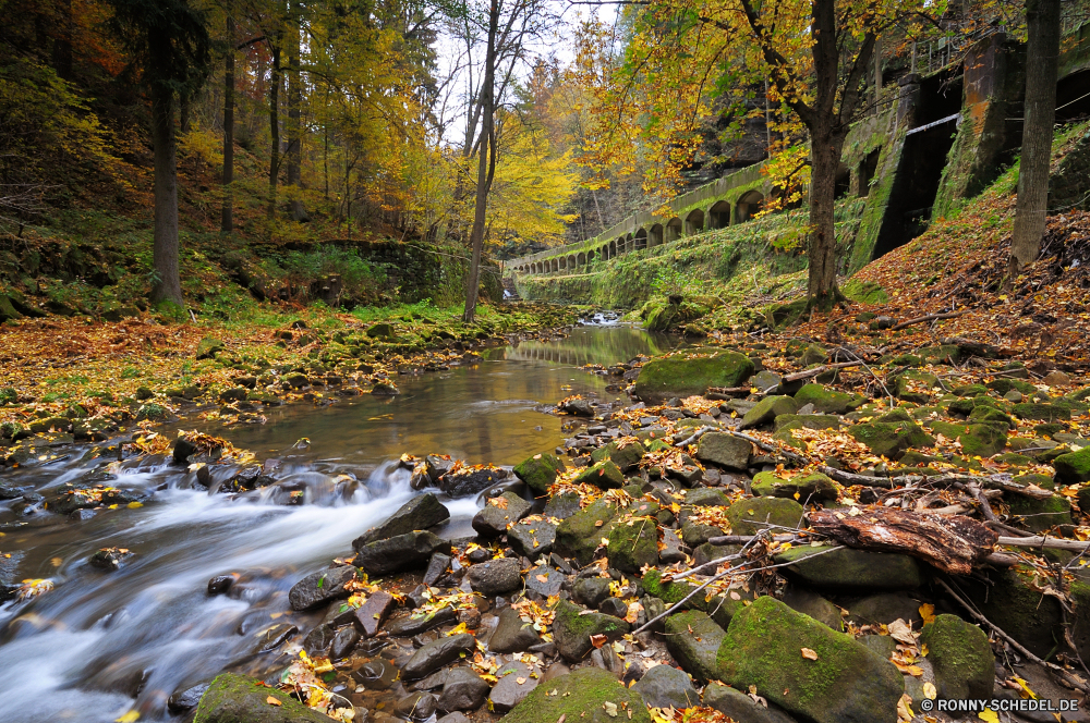 WKW Niezelgrund Wald Land Baum Landschaft Fluss Park Wasser Bäume Herbst Berg Kanal fallen landschaftlich im freien Szenerie Stream Umgebung natürliche Körper des Wassers Belaubung Entwicklung des ländlichen Gras Stein Fels Sumpf Blätter ruhige Sommer friedliche Wild woody plant im freien Reisen Frühling Holz Pflanze Hölzer Blatt Creek Berge See Landschaft Feuchtgebiet bunte Saison Wandern Garten Brücke Szene vascular plant Wildnis Himmel gelb Sonnenlicht gelassene Moos Strauch sonnig Wasserfall Birke Farben Pfad Tag Straße üppige Tourismus Reflexion idyllische Golden nass Land am See klar Reinigen Orange Ufer Sonne Teich Stechginster England Felsen frisch frische Luft nationalen Wanderung Landschaften Wolken fließende Ruhe durch Jahreszeiten Wanderweg alt Fuß Strömung Ökologie Frieden Kiefer glatte Farbe forest land tree landscape river park water trees autumn mountain channel fall scenic outdoor scenery stream environment natural body of water foliage rural grass stone rock swamp leaves tranquil summer peaceful wild woody plant outdoors travel spring wood plant woods leaf creek mountains lake countryside wetland colorful season hiking garden bridge scene vascular plant wilderness sky yellow sunlight serene moss shrub sunny waterfall birch colors path day road lush tourism reflection idyllic golden wet country lakeside clear clean orange shore sun pond gorse england rocks fresh freshness national hike scenics clouds flowing calm through seasons trail old walking flow ecology peace pine smooth color