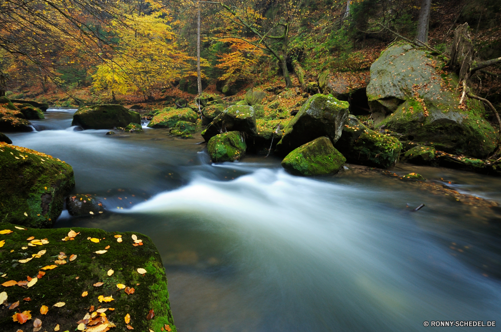 Edmundsklamm Wasserfall Fluss Wasser Wald Stream Landschaft Fels Stein Berg Strömung Park fallen im freien Baum Creek Kaskade natürliche friedliche Umgebung Frühling fließende Sommer platsch Felsen Moos Wild Szenerie Brunnen nass Wildnis Herbst Kanal frisch Bewegung Steine Reisen Berge nationalen Bäume landschaftlich aquatische Körper des Wassers Blatt glatte ruhige im freien Struktur Hölzer Land Blätter Brokkoli fällt Belaubung Szene Reinigen gelassene reine Wasserfälle felsigen Saison See Frieden Tourismus Schlucht Ökologie Gras Flüsse Himmel Pflanze Landschaft Drop Bach Holz Kühl Entwicklung des ländlichen Sonne seidige Wanderung üppige klar Farbe bunte vascular plant Geschwindigkeit Ruhe frische Luft common duckweed rasche Land fallen Wandern erfrischende Harmonie Reflexion entspannende Schlucht gelb Ströme Tag Flüssigkeit Dschungel Flüssigkeit sonnig Tropischer Abenteuer Regen Bewegung Erde Urlaub Tal Wasserpflanze Wasserlinse Erholung niemand waterfall river water forest stream landscape rock stone mountain flow park fall outdoor tree creek cascade natural peaceful environment spring flowing summer splash rocks moss wild scenery fountain wet wilderness autumn channel fresh motion stones travel mountains national trees scenic aquatic body of water leaf smooth tranquil outdoors structure woods country leaves broccoli falls foliage scene clean serene pure waterfalls rocky season lake peace tourism canyon ecology grass rivers sky plant countryside drop brook wood cool rural sun silky hike lush clear color colorful vascular plant speed calm freshness common duckweed rapid land falling hiking refreshing harmony reflection relaxing ravine yellow streams day liquid jungle fluid sunny tropical adventure rain movement earth vacation valley aquatic plant duckweed recreation nobody