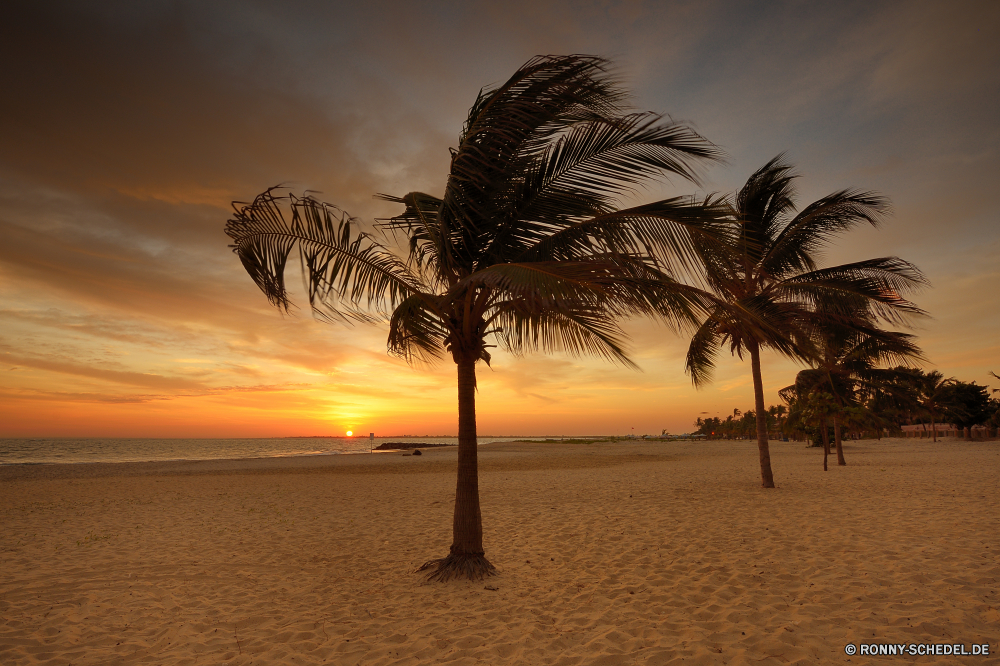 Sun Beach Hotel and Resort Strand Ozean Palm Meer Tropischer Sand Insel Sonnenuntergang Sonne Paradies Baum Himmel Wasser Küste Urlaub Reisen Urlaub Sommer Landschaft Ufer Wolke am Meer Kontur Kokosnuss Bucht Horizont Entspannen Sie sich Welle Küste Tourismus Dämmerung landschaftlich Resort seelandschaft idyllische Sonnenaufgang sonnig Bäume exotische romantische Wolken warm Morgenröte friedliche entspannende ruhige Szenerie Reflexion klar Ziel 'Nabend Wendekreis Entspannung Palme im freien Türkis Szene Ruhe Wellen Handflächen Erholung Nacht Orange Reise natürliche im freien Schwimmen Pflanze Traum Frieden heiß Schatten Romantik Sonnenlicht Lagune außerhalb Ufer Surf Urlaub Boot Menschen Licht Palmen Blatt niemand Pazifik Himmel Klima Sonnenschein am Morgen bunte beach ocean palm sea tropical sand island sunset sun paradise tree sky water coast vacation travel holiday summer landscape shore cloud seaside silhouette coconut bay horizon relax wave coastline tourism dusk scenic resort seascape idyllic sunrise sunny trees exotic romantic clouds warm dawn peaceful relaxing tranquil scenery reflection clear destination evening tropic relaxation palm tree outdoor turquoise scene calm waves palms recreation night orange trip natural outdoors swim plant dream peace hot shadow romance sunlight lagoon outside waterside surf holidays boat people light palm trees leaf nobody pacific heaven climate sunshine morning colorful