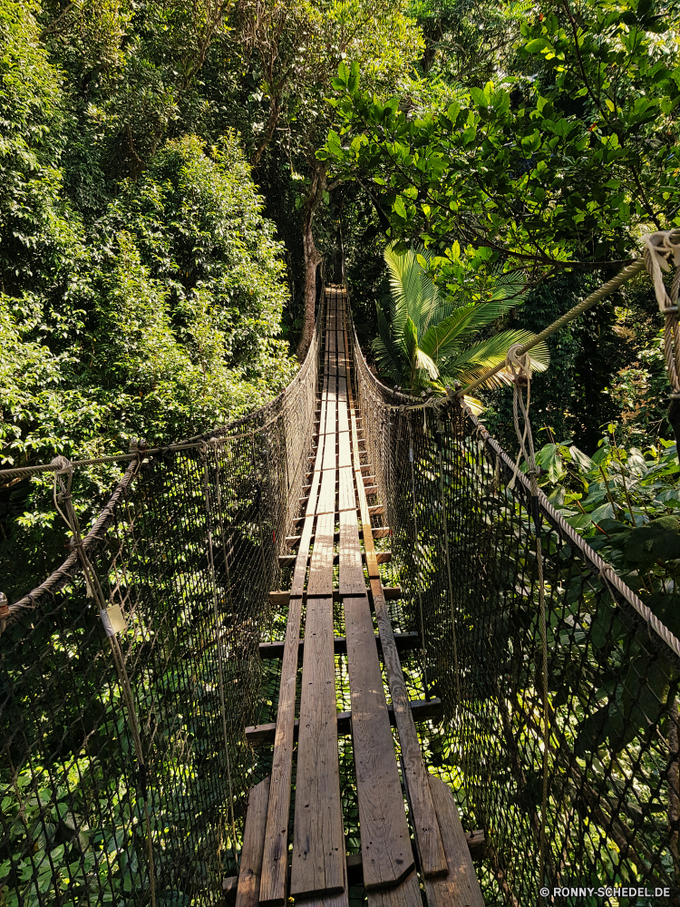 Guadeloupe Hängebrücke Brücke Struktur Wald Baum Bäume Park Landschaft im freien Holz Reisen Fluss Himmel Sommer hoch Pflanze Dschungel Wasser Frühling Blätter Umgebung natürliche Pfad Tourismus Sonne Kofferraum Wandern Berg Hölzer Regen sonnig Gras nationalen fallen Saison im freien Tropischer Belaubung Architektur Blatt Stadt Turm Sonnenlicht Abenteuer Tag Straße Szenerie Kabel Herbst Wild zu Fuß Licht Frieden Branch Szene groß macht Landschaft am Morgen Wildnis landschaftlich Leben Bewuchs Tal Stein Garten Hügel Berge See Wahrzeichen Erholung Gebäude Entwicklung des ländlichen aus Holz suspension bridge bridge structure forest tree trees park landscape outdoor wood travel river sky summer high plant jungle water spring leaves environment natural path tourism sun trunk hiking mountain woods rain sunny grass national fall season outdoors tropical foliage architecture leaf city tower sunlight adventure day road scenery cable autumn wild walk light peace branch scene tall power countryside morning wilderness scenic life vegetation valley stone garden hill mountains lake landmark recreation building rural wooden