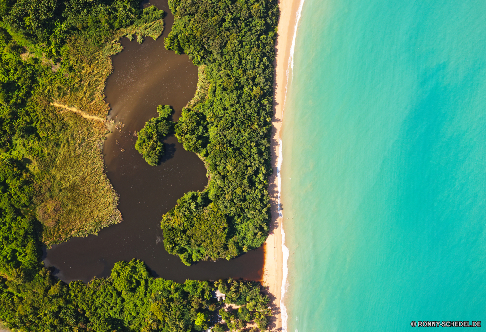 Guadeloupe Baum Landschaft woody plant vascular plant Wald Park Herbst Pflanze fallen Wasser im freien Bäume Sommer Gras natürliche Belaubung alt Textur im freien Garten im Alter von Berg landschaftlich Blätter Reisen Fluss Farbe Frühling Saison Blatt Himmel See Grunge Stein gelb Orange Holz Mauer Umgebung Raps friedliche Frieden Muster Rau schmutzig Sonnenlicht Oberfläche Hölzer Sonne Fels Pfad Kraut Landschaft Tapete Jahrgang Farben Struktur Braun Szene Land bunte Pflanzen frisch Ölsaaten Land Entwicklung des ländlichen Wild Wandern Golden Verwittert Entspannen Sie sich Feld Tourismus Blume Retro malen Licht Ahorn Wasserfall texturierte Zweige Tropischer rostige Pappel Ozean Samen Strömung Urlaub Ruhe Gestaltung Reflexion am Morgen Szenerie Flora Tag tree landscape woody plant vascular plant forest park autumn plant fall water outdoor trees summer grass natural foliage old texture outdoors garden aged mountain scenic leaves travel river color spring season leaf sky lake grunge stone yellow orange wood wall environment rapeseed peaceful peace pattern rough dirty sunlight surface woods sun rock path herb countryside wallpaper vintage colors structure brown scene land colorful plants fresh oilseed country rural wild hiking golden weathered relax field tourism flower retro paint light maple waterfall textured branches tropical rusty poplar ocean seed flow vacation calm design reflection morning scenery flora day