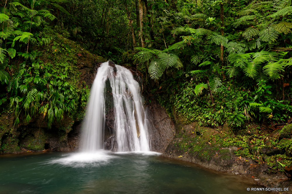 Guadeloupe Brunnen Wasserfall Struktur Fluss Stream Wasser Wald Landschaft Fels Kaskade Stein Park Reisen Umgebung Berg fällt Baum Frühling fließende im freien Strömung Kanal fallen Wild Moos Creek natürliche Wildnis Sommer landschaftlich friedliche Körper des Wassers Felsen platsch fallen im freien nass Bewegung rasche frisch Reinigen ruhige Szenerie Berge Szene Tourismus Blatt Wasserfälle Drop üppige Tropischer Sanitär-Befestigung Belaubung Hölzer Bäume frische Luft See Pflanze glatte entspannende Kühl gelassene Leuchte Ökologie Geschwindigkeit Ruhe Frieden Dschungel Paradies Garten nationalen Bach Teich Wandern Herbst Saison Holz erfrischend Schwimmbad idyllische SWIFT seidige Entwicklung des ländlichen felsigen Tag Landschaften Abenteuer Regen macht Urlaub klar Wanderung Bewegung Erholung Sonnenlicht fountain waterfall structure river stream water forest landscape rock cascade stone park travel environment mountain falls tree spring flowing outdoor flow channel fall wild moss creek natural wilderness summer scenic peaceful body of water rocks splash falling outdoors wet motion rapid fresh clean tranquil scenery mountains scene tourism leaf waterfalls drop lush tropical plumbing fixture foliage woods trees freshness lake plant smooth relaxing cool serene fixture ecology speed calm peace jungle paradise garden national brook pond hiking autumn season wood refreshment pool idyllic swift silky rural rocky day scenics adventure rain power vacation clear hike movement recreation sunlight