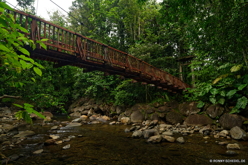 Guadeloupe Brücke Hängebrücke Struktur Landschaft Wald Schritt Baum Unterstützung Berg landschaftlich Reisen Wasser Viadukt Berge Straße Himmel Gerät Fluss Szenerie Bäume Sommer Urlaub Park Fels Track Stein Mauer im freien im freien Gras Hügel natürliche See Meer Tal Küste Tourismus Felsen Landschaft Schlucht Herbst Pfad Wolke Architektur Ozean Transport Sonne Wandern Insel Wildnis alt Eisenbahn Eisenbahn Entwicklung des ländlichen Hügel Klippe Zug sonnig Küste nationalen Pflanze fallen Wetter Weingut Blatt Wanderweg Stadt Licht friedliche Frühling Tag bridge suspension bridge structure landscape forest step tree support mountain scenic travel water viaduct mountains road sky device river scenery trees summer vacation park rock track stone wall outdoor outdoors grass hill natural lake sea valley coast tourism rocks countryside canyon autumn path cloud architecture ocean transportation sun hiking island wilderness old railroad railway rural hills cliff train sunny coastline national plant fall weather vineyard leaf trail city light peaceful spring day