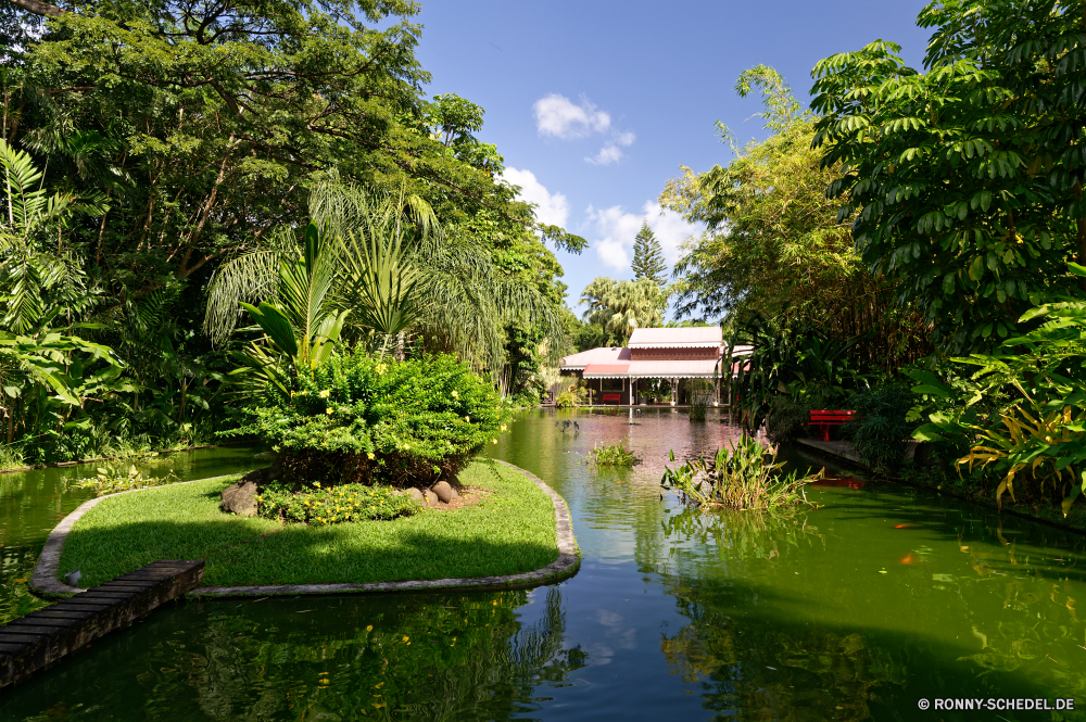 Guadeloupe Bootshaus Schuppen Baum Nebengebäude Wasser Gebäude See Landschaft Fluss woody plant Himmel Park Wald Sommer Teich Architektur Reflexion Reisen Bäume Struktur vascular plant im freien Garten ruhige Pflanze Haus friedliche Urlaub Gras Szenerie Sonne landschaftlich Boot Tourismus Ufer Wolken Holz Ruhe Resort Stadt Berg Tempel Umgebung Japan Brücke Wolke Tag Frühling Urlaub natürliche Boote alt Fels Antike sonnig Berge Villa im freien Wahrzeichen Land Hölzer idyllische außerhalb Meer Blatt bunte Stein traditionelle Kanal Geschichte Farbe Pavillon Dach am See Szene Stream Entspannen Sie sich Insel berühmte Stadt Freizeit Ozean Land Küste Herbst Lagune Dorf Saison Erbe Kultur Spiegel Ziel Tourist Sonnenuntergang Wildnis Weide Erholung Entwicklung des ländlichen boathouse shed tree outbuilding water building lake landscape river woody plant sky park forest summer pond architecture reflection travel trees structure vascular plant outdoors garden tranquil plant house peaceful vacation grass scenery sun scenic boat tourism shore clouds wood calm resort city mountain temple environment japan bridge cloud day spring holiday natural boats old rock ancient sunny mountains villa outdoor landmark country woods idyllic outside sea leaf colorful stone traditional canal history color pavilion roof lakeside scene stream relax island famous town leisure ocean land coast autumn lagoon village season heritage culture mirror destination tourist sunset wilderness willow recreation rural