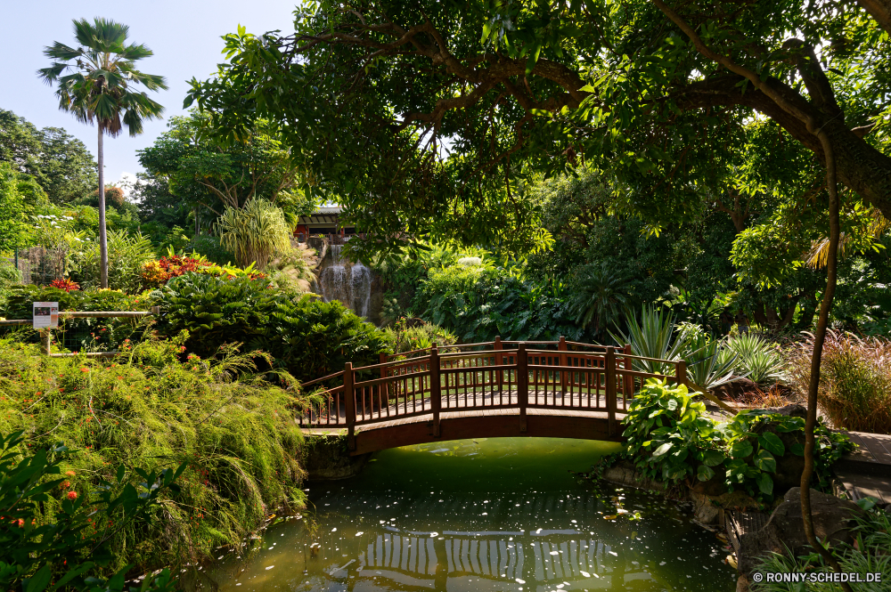 Guadeloupe Baum woody plant vascular plant Wasser Landschaft Pflanze Reisen Tourismus See Park Architektur Gebäude Sommer Himmel Wald Fluss Bäume Brücke Urlaub Garten Boot friedliche Tempel Sonne Stadt Teich Japan im freien Ruhe Tropischer Urlaub landschaftlich Palm Reflexion sonnig ruhige Strand Wahrzeichen Wolke Kultur alt Resort Meer Szenerie Geschichte white mangrove Antike Gras Frühling Tag Insel Haus Paradies Struktur Wolken bunte Holz Ziel berühmte im freien Ozean exotische Tourist Umgebung Pavillon Blätter Urban natürliche Saison außerhalb Ufer Blume Sonnenuntergang Religion Sonnenlicht Berg Dach Sand Kanal Lagune Szene Farbe Bewuchs Orientalische Entspannung Küste Startseite Turm Bootshaus Blatt Land tree woody plant vascular plant water landscape plant travel tourism lake park architecture building summer sky forest river trees bridge vacation garden boat peaceful temple sun city pond japan outdoors calm tropical holiday scenic palm reflection sunny tranquil beach landmark cloud culture old resort sea scenery history white mangrove ancient grass spring day island house paradise structure clouds colorful wood destination famous outdoor ocean exotic tourist environment pavilion leaves urban natural season outside shore flower sunset religion sunlight mountain roof sand canal lagoon scene color vegetation oriental relaxation coastline home tower boathouse leaf land