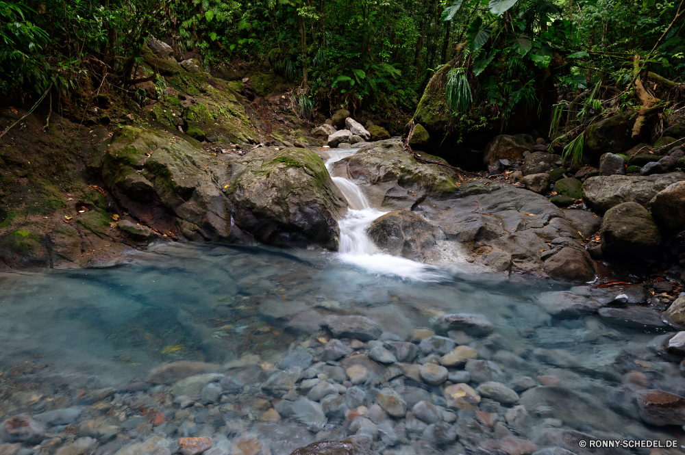 Guadeloupe Fluss Wald Kanal Stream Körper des Wassers Wasserfall Wasser Fels Wildnis Landschaft Stein Berg Creek Felsen fließende Kaskade Park Strömung Frühling Umgebung im freien fallen Baum Bewegung Wild Moos Reisen im freien Sommer fällt Land natürliche Berge landschaftlich Steine platsch Szenerie nass Bäume friedliche fallen nationalen rasche Reinigen glatte felsigen Szene gelassene frische Luft Wasserfälle Flüsse Tourismus Drop ruhige Hölzer frisch Herbst Ökologie Wandern Kühl Belaubung Geschwindigkeit üppige Abenteuer Tag Wanderung Land Tropischer Blatt See Frieden Pflanze Klippe SWIFT Schlucht Landschaften Erhaltung Saison Holz Urlaub Erholung Ufer Bach Wildpflanze in der Nähe geologische formation Gras Barrier Blätter Gelände kalt macht Harmonie Wellenbrecher Ruhe Küste Meer Himmel niemand river forest channel stream body of water waterfall water rock wilderness landscape stone mountain creek rocks flowing cascade park flow spring environment outdoor fall tree motion wild moss travel outdoors summer falls land natural mountains scenic stones splash scenery wet trees peaceful falling national rapid clean smooth rocky scene serene freshness waterfalls rivers tourism drop tranquil woods fresh autumn ecology hiking cool foliage speed lush adventure day hike country tropical leaf lake peace plant cliff swift ravine scenics conservation season wood vacation recreation shore brook uncultivated near geological formation grass barrier leaves terrain cold power harmony breakwater calm coast sea sky nobody