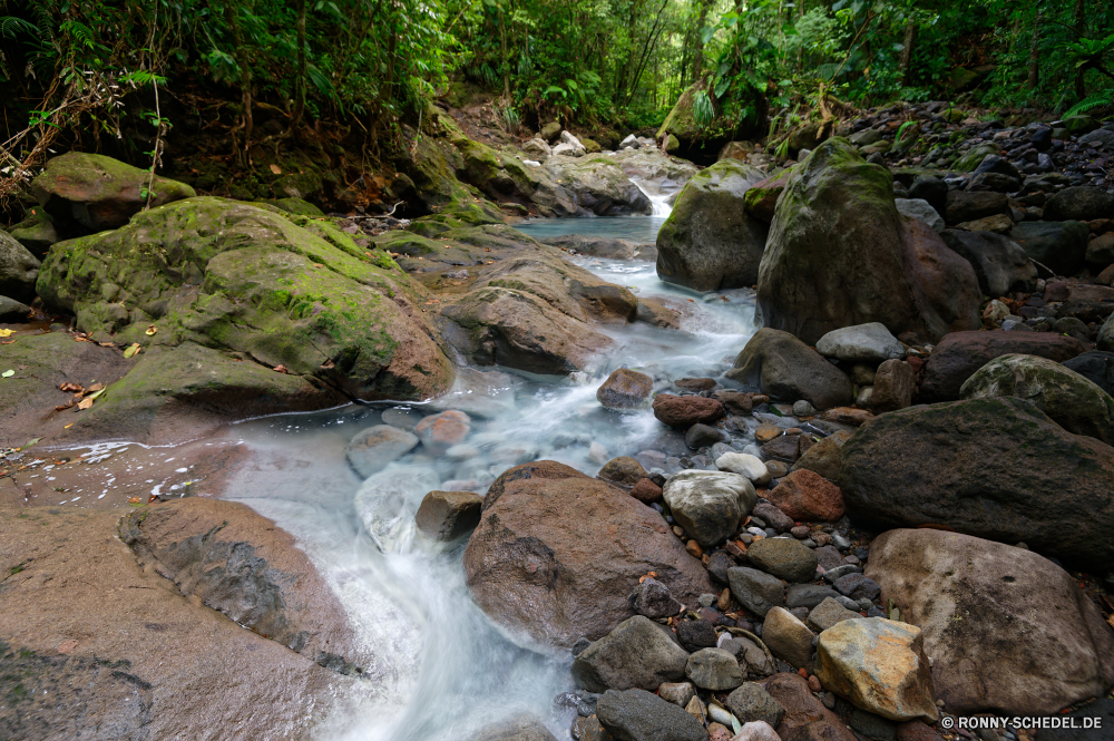 Guadeloupe Fluss Stream Wildnis Wasser Fels Wald Stein Wasserfall Berg Landschaft Creek Kanal Strömung Felsen Baum Frühling im freien Körper des Wassers Park fließende Umgebung nass Berge Bewegung Kaskade Wild Moos fallen Sommer Szenerie natürliche im freien landschaftlich platsch Reisen Bäume Steine Reinigen felsigen fallen nationalen friedliche Drop Land rasche Herbst frische Luft Belaubung Szene glatte Geschwindigkeit fällt frisch ruhige üppige gelassene Pflanze Tag Tourismus Schlucht Blätter Schlucht Wasserfälle Flüsse Blatt Hölzer Ökologie Frieden Steinmauer Kühl klar Barrier See Holz kalt Tropischer Tal geologische formation Erholung Bach Entwicklung des ländlichen Gelände Gras Wandern gischt sonnig Abenteuer Harmonie Zaun Ruhe erfrischend Wildpflanze Flüssigkeit Ufer Saison Landschaften Farben Obstruktion Land Himmel niemand river stream wilderness water rock forest stone waterfall mountain landscape creek channel flow rocks tree spring outdoor body of water park flowing environment wet mountains motion cascade wild moss fall summer scenery natural outdoors scenic splash travel trees stones clean rocky falling national peaceful drop land rapid autumn freshness foliage scene smooth speed falls fresh tranquil lush serene plant day tourism ravine leaves canyon waterfalls rivers leaf woods ecology peace stone wall cool clear barrier lake wood cold tropical valley geological formation recreation brook rural terrain grass hiking spray sunny adventure harmony fence calm refreshment uncultivated liquid shore season scenics colors obstruction country sky nobody