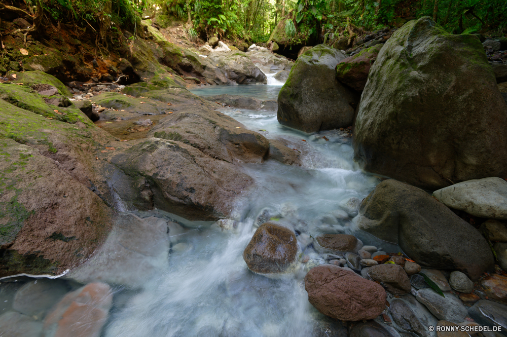 Guadeloupe Fluss Wasserfall Wasser Stream Fels Stein Landschaft Wald Creek Felsen Strömung Berg Park im freien Frühling fließende fallen Kaskade Moos Wildnis Wild Baum natürliche platsch Umgebung friedliche landschaftlich Bewegung Szenerie im freien fällt nass felsigen Sommer Reisen Berge nationalen Steine gelassene Herbst Bäume glatte fallen frisch Tourismus Szene Ruhe Drop ruhige Reinigen Hölzer Blatt Kanal Körper des Wassers Saison geologische formation Schlucht See Frieden Tal Kühl Blätter Ökologie Schildkröte Wasserfälle rasche Tropischer Pflanze Klippe Felsbrocken Flüsse Land Wandern Abenteuer Tag niemand Schlucht macht Belaubung Geschwindigkeit heißer Frühling Bach Wanderung üppige gischt kalt Bereich Entspannen Sie sich Erholung SWIFT Fischotter seidige Flüssigkeit Farbe Wanderweg Teich Landschaften Bewegung Holz frische Luft Weichzeichnen river waterfall water stream rock stone landscape forest creek rocks flow mountain park outdoor spring flowing fall cascade moss wilderness wild tree natural splash environment peaceful scenic motion scenery outdoors falls wet rocky summer travel mountains national stones serene autumn trees smooth falling fresh tourism scene calm drop tranquil clean woods leaf channel body of water season geological formation canyon lake peace valley cool leaves ecology turtle waterfalls rapid tropical plant cliff boulders rivers country hiking adventure day nobody ravine power foliage speed hot spring brook hike lush spray cold area relax recreation swift otter silky liquid color trail pond scenics movement wood freshness blur