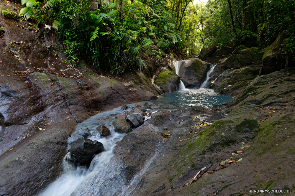 Guadeloupe Fluss Wald Wildnis Stream Wasser Landschaft Berg Wasserfall Stein Baum Fels Kanal Creek Umgebung im freien Park Körper des Wassers Wild Moos Bäume fallen Frühling natürliche Land fließende Strömung friedliche Kaskade Felsen Berge im freien Szenerie Belaubung nass Reisen Herbst landschaftlich platsch Reinigen Bewegung Entwicklung des ländlichen Blätter Sommer Drop frisch frische Luft Blatt Szene Hölzer Saison glatte Pflanze ruhige Wandern Gras gelassene nationalen üppige Tourismus woody plant rasche fallen Garten Tropischer Geschwindigkeit See Tag Ruhe Frieden Farben Steine vascular plant Bewegung Landschaft Holz entspannende Dschungel Land klar idyllische niemand Schlucht Kühl Aufstieg bunte Brücke Ökologie Flüsse steilen felsigen Urlaub Straße Erholung Sonnenlicht river forest wilderness stream water landscape mountain waterfall stone tree rock channel creek environment outdoor park body of water wild moss trees fall spring natural land flowing flow peaceful cascade rocks mountains outdoors scenery foliage wet travel autumn scenic splash clean motion rural leaves summer drop fresh freshness leaf scene woods season smooth plant tranquil hiking grass serene national lush tourism woody plant rapid falling garden tropical speed lake day calm peace colors stones vascular plant movement countryside wood relaxing jungle country clear idyllic nobody canyon cool ascent colorful bridge ecology rivers steep rocky vacation road recreation sunlight