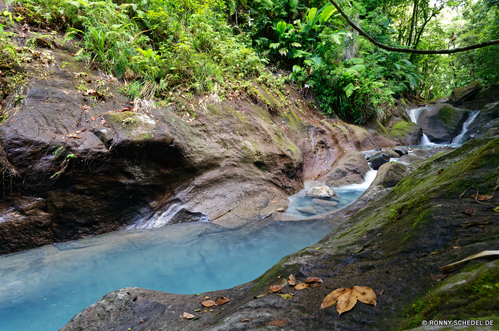 Guadeloupe Wasser Fels Landschaft Wald Küste Meer Stein Fluss Ozean Berg Felsen Klippe geologische formation Reisen Küste Baum Strand Sommer Stream Wasserfall im freien Land Vorgebirge Kanal felsigen Tourismus landschaftlich Körper des Wassers Creek Park Urlaub im freien natürliche natürliche Höhe Ufer Wildnis Urlaub Frühling Umgebung Szenerie fließende Insel Steine Sonne Wild seelandschaft Wellen Welle nationalen Berge Strömung Kaskade Bewegung natürliche depression friedliche Klippen Himmel Tourist Sand sonnig fallen nass klar Szene frisch Küstenlinie Tag Bucht Moos Bäume platsch See Krater am Meer robuste woody plant Küste Pazifik Hügel Erholung Schlucht Entwicklung des ländlichen Biber fallen Wandern gischt Wolke Paradies Pflanze Schlucht Herbst rasche Meeresküste Surf Boot gelassene Ziel Reflexion Nagetier Drop Gras Blatt water rock landscape forest coast sea stone river ocean mountain rocks cliff geological formation travel coastline tree beach summer stream waterfall outdoor land promontory channel rocky tourism scenic body of water creek park vacation outdoors natural natural elevation shore wilderness holiday spring environment scenery flowing island stones sun wild seascape waves wave national mountains flow cascade motion natural depression peaceful cliffs sky tourist sand sunny fall wet clear scene fresh shoreline day bay moss trees splash lake crater seaside rugged woody plant coastal pacific hill recreation canyon rural beaver falling hiking spray cloud paradise plant ravine autumn rapid seashore surf boat serene destination reflection rodent drop grass leaf