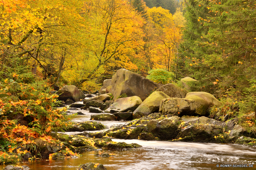 Okertal Wildnis Fluss Wasser Landschaft Wald Berg Stream Baum Fels Stein fallen Herbst Bäume Umgebung Park im freien Creek natürliche Wasserfall Moos Entwicklung des ländlichen Felsen Reisen Berge landschaftlich Frühling Wild Belaubung Blätter Reinigen Schlucht Tourismus Szenerie Wandern frische Luft woody plant frisch fließende im freien klar Blatt Urlaub bunte nass Sommer Saison Schlucht Kaskade Bewegung Tal Brücke gelb Szene Strömung Ökologie rasche Drop Tag üppige Himmel Hölzer Farben Bewegung sonnig See Landschaft Gras Garten Land friedliche geologische formation vascular plant glatte Farbe ruhige Küste Pflanze steilen Postkarte Meer Ozean Holz entspannende Höhle Gelände Busch Landschaften Golden Entspannung Strand Ufer Ruhe Branch Land seidige Welle felsigen Entspannen Sie sich platsch Reflexion Geschwindigkeit Frieden Sonne nationalen am Morgen Sonnenlicht Körper des Wassers wilderness river water landscape forest mountain stream tree rock stone fall autumn trees environment park outdoor creek natural waterfall moss rural rocks travel mountains scenic spring wild foliage leaves clean canyon tourism scenery hiking freshness woody plant fresh flowing outdoors clear leaf vacation colorful wet summer season ravine cascade motion valley bridge yellow scene flow ecology rapid drop day lush sky woods colors movement sunny lake countryside grass garden land peaceful geological formation vascular plant smooth color tranquil coast plant steep postcard sea ocean wood relaxing cave terrain bush scenics golden relaxation beach shore calm branch country silky wave rocky relax splash reflection speed peace sun national morning sunlight body of water