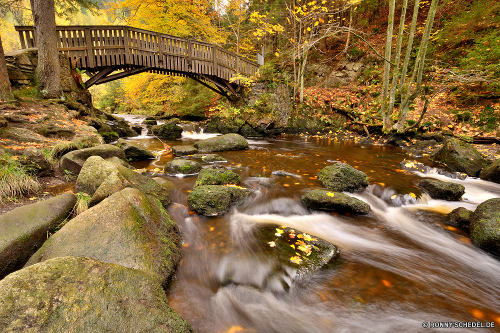 Okertal Fluss Wald Landschaft Brunnen Wasser Wasserfall Stream fallen Park Struktur Fels Sprinkler Stein Baum natürliche Herbst Berg Bäume im freien mechanisches Gerät landschaftlich Reisen Szenerie Creek Strömung Umgebung Wild Kaskade Moos Bewegung Mechanismus Felsen Berge friedliche Blatt Frühling Brücke fließende im freien Tourismus Saison Wildnis Gerät Belaubung Sommer Wandern gelb nass platsch Szene frisch bunte Entwicklung des ländlichen Blätter klar fällt Steine gelassene Orange ruhige Gras Himmel Land Hölzer Urlaub glatte nationalen Reinigen Pflanze Bewegung Ökologie Landschaft Farbe Holz Drop Wanderung Farben Golden Tourist Garten See seidige felsigen Kanal Stechginster Tal Geschwindigkeit Branch entspannende Sonnenuntergang Wasserfälle saisonale Schlucht fallen außerhalb gischt Ufer Sonne reine Ruhe Reflexion Strauch Körper des Wassers river forest landscape fountain water waterfall stream fall park structure rock sprinkler stone tree natural autumn mountain trees outdoor mechanical device scenic travel scenery creek flow environment wild cascade moss motion mechanism rocks mountains peaceful leaf spring bridge flowing outdoors tourism season wilderness device foliage summer hiking yellow wet splash scene fresh colorful rural leaves clear falls stones serene orange tranquil grass sky country woods vacation smooth national clean plant movement ecology countryside color wood drop hike colors golden tourist garden lake silky rocky channel gorse valley speed branch relaxing sunset waterfalls seasonal canyon falling outside spray shore sun pure calm reflection shrub body of water