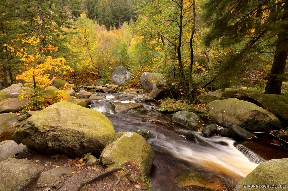 Okertal Baum Wald Landschaft Fluss woody plant Herbst fallen Bäume Steinmauer Wasser Park Fels vascular plant Berg im freien Stream Stein Szenerie Zaun Belaubung Blätter landschaftlich Umgebung im freien Barrier natürliche Creek Frühling Blatt Berge Moos Wasserfall bunte Land gelb Saison Farben friedliche Hölzer Pflanze Reisen Entwicklung des ländlichen Wild Wildnis Felsen Landschaft Wandern Sommer Obstruktion Szene Gras Holz fließende Ökologie Orange Garten Wanderweg Pfad Golden Frieden ruhige üppige nass frisch Strömung Sumpf See frische Luft Sonnenlicht Tourismus gelassene platsch sonnig Tag Branch Reinigen Land Schlucht Straße Ahorn klar Drop Flora Himmel Farbe Sonne Feuchtgebiet Bewegung Strauch Struktur entspannende Reflexion Erholung Waldland Wanderung Jahreszeiten felsigen Landschaften Steine Bewegung Braun nationalen am Morgen tree forest landscape river woody plant autumn fall trees stone wall water park rock vascular plant mountain outdoor stream stone scenery fence foliage leaves scenic environment outdoors barrier natural creek spring leaf mountains moss waterfall colorful land yellow season colors peaceful woods plant travel rural wild wilderness rocks countryside hiking summer obstruction scene grass wood flowing ecology orange garden trail path golden peace tranquil lush wet fresh flow swamp lake freshness sunlight tourism serene splash sunny day branch clean country canyon road maple clear drop flora sky color sun wetland motion shrub structure relaxing reflection recreation woodland hike seasons rocky scenics stones movement brown national morning