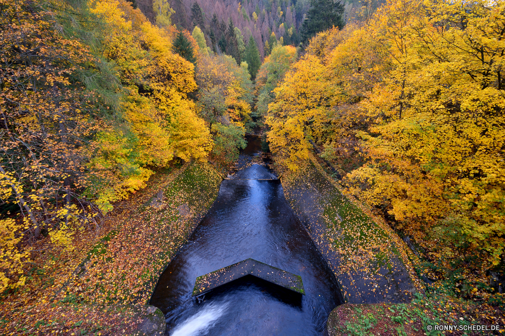 Okertal Baum Herbst fallen Wald Tunnel Landschaft Park Durchgang Bäume Saison woody plant Szenerie gelb Blatt Blätter Durchgang Belaubung im freien Holz bunte Art und Weise Strauch Pflanze natürliche vascular plant Stechginster im freien Farbe Landschaft Pappel Orange Gras landschaftlich friedliche Branch Szene Umgebung Entwicklung des ländlichen Himmel Ahorn Berg Land Hölzer saisonale See Straße Berge Golden Garten Fluss Flora Pfad Wasser Reisen hell Waldland Farben Land Wolken ruhige Fels Tal Stein gelassene Ökologie Frieden nationalen Horizont Gold Jahreszeiten Wandern Braun zu Fuß Perspektive Frühling Sommer Sonnenuntergang Sonnenlicht klar Zweige Felsen Sonne Zeit Reflexion Wiese Tag Wanderung Bewuchs Busch Fuß Sonnenaufgang Hügel Tourismus Schlucht Leuchten warm Wildnis tree autumn fall forest tunnel landscape park passageway trees season woody plant scenery yellow leaf leaves passage foliage outdoor wood colorful way shrub plant natural vascular plant gorse outdoors color countryside poplar orange grass scenic peaceful branch scene environment rural sky maple mountain country woods seasonal lake road mountains golden garden river flora path water travel bright woodland colors land clouds tranquil rock valley stone serene ecology peace national horizon gold seasons hiking brown walk perspective spring summer sunset sunlight clear branches rocks sun time reflection meadow day hike vegetation bush walking sunrise hill tourism canyon shine warm wilderness