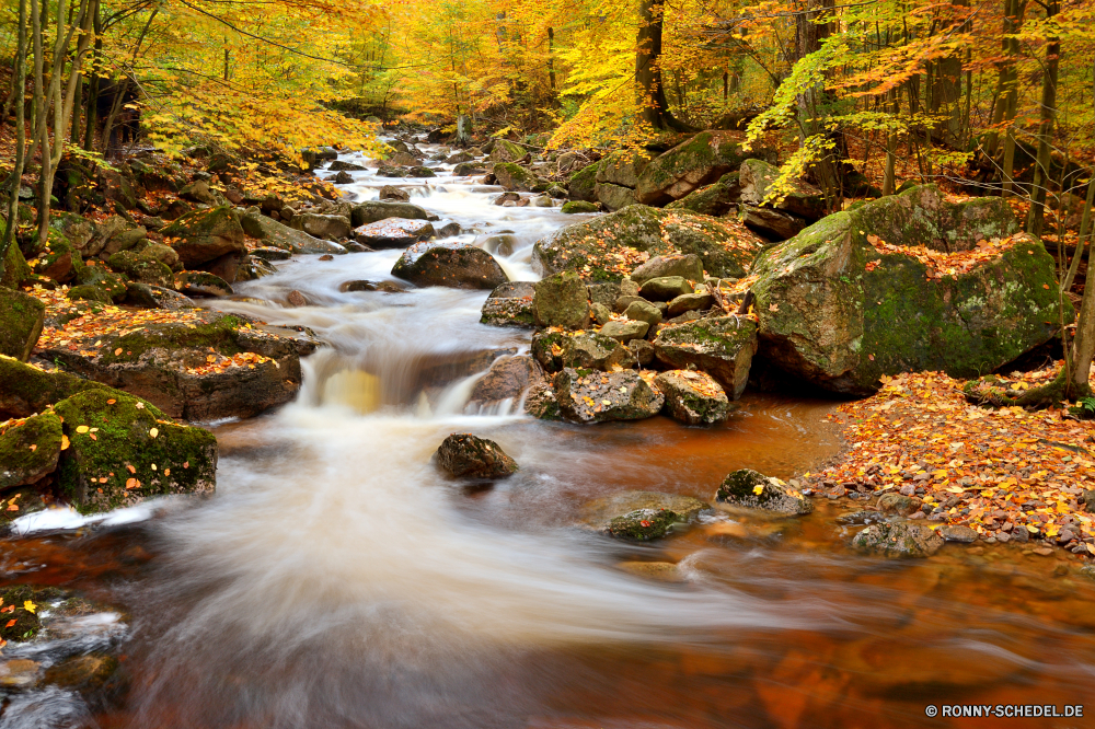 Ilsetal Fluss Wasserfall Stream Wald Wasser Schlucht Fels Stein Landschaft Creek Schlucht fallen Umgebung Kaskade Berg Park Strömung im freien Moos Tal natürliche Wild Bewegung Baum Felsen Reisen fließende Wildnis Frühling glatte frisch platsch Bäume fällt Herbst friedliche Steine Ökologie natürliche depression Wasserfälle nationalen Berge Wandern landschaftlich Sommer Szenerie Tourismus im freien gelassene nass Reinigen Körper des Wassers Blatt Kühl felsigen Land Flüsse Drop fallen Kanal Blätter ruhige Bewegung frische Luft Wanderung Abenteuer Entwicklung des ländlichen Saison reine Szene seidige Geschwindigkeit erfrischende klar Bach Erhaltung bunte rasche niemand Erholung Hölzer Urlaub Belaubung entspannende Postkarte Brücke Pflanze Frieden SWIFT steilen Farben plantschen üppige Flüssigkeit Garten Holz Ruhe gelb Weichzeichnen Ströme Flüssigkeit Land Landschaft See Tag river waterfall stream forest water canyon rock stone landscape creek ravine fall environment cascade mountain park flow outdoor moss valley natural wild motion tree rocks travel flowing wilderness spring smooth fresh splash trees falls autumn peaceful stones ecology natural depression waterfalls national mountains hiking scenic summer scenery tourism outdoors serene wet clean body of water leaf cool rocky country rivers drop falling channel leaves tranquil movement freshness hike adventure rural season pure scene silky speed refreshing clear brook conservation colorful rapid nobody recreation woods vacation foliage relaxing postcard bridge plant peace swift steep colors splashing lush liquid garden wood calm yellow blur streams fluid land countryside lake day