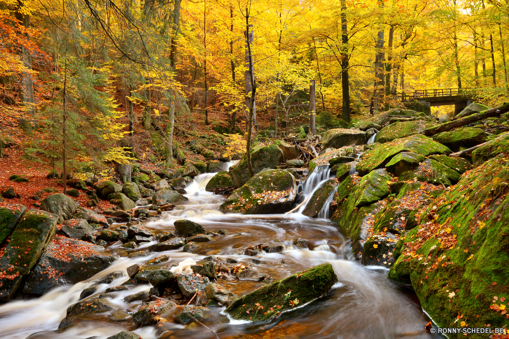 Ilsetal Wald Baum Landschaft Bäume Park Herbst fallen woody plant Fluss Wasser Belaubung Umgebung im freien Szenerie vascular plant Blätter natürliche landschaftlich Land Blatt im freien Fels Berg Hölzer Holz Pflanze Stream friedliche Birke Stein Saison Wild bunte Reisen Entwicklung des ländlichen gelb Sommer Kiefer Gras Tee Wandern Pfad Garten Farben sonnig Wasserfall Wildnis Szene Landschaft ruhige Frühling See Golden Branch Jahreszeiten Straße Sonnenlicht Berge Orange Creek Frieden Tourismus gelassene Moos Wanderweg Reinigen Land Bonsai Waldland Tag klar frisch Ökologie Schnee nationalen Flora nass Kaskade Wanderung üppige Winter hell Pflanzen Strömung am Morgen Sonne silver tree abgedeckt Teich ruhig kalt Bewegung fließende Farbe Himmel Baumstumpf entspannende Tal Kofferraum Busch Eis platsch Reflexion Drop Sumpf saisonale forest tree landscape trees park autumn fall woody plant river water foliage environment outdoor scenery vascular plant leaves natural scenic land leaf outdoors rock mountain woods wood plant stream peaceful birch stone season wild colorful travel rural yellow summer pine grass tea hiking path garden colors sunny waterfall wilderness scene countryside tranquil spring lake golden branch seasons road sunlight mountains orange creek peace tourism serene moss trail clean country bonsai woodland day clear fresh ecology snow national flora wet cascade hike lush winter bright plants flow morning sun silver tree covered pond quiet cold motion flowing color sky snag relaxing valley trunk bush ice splash reflection drop swamp seasonal