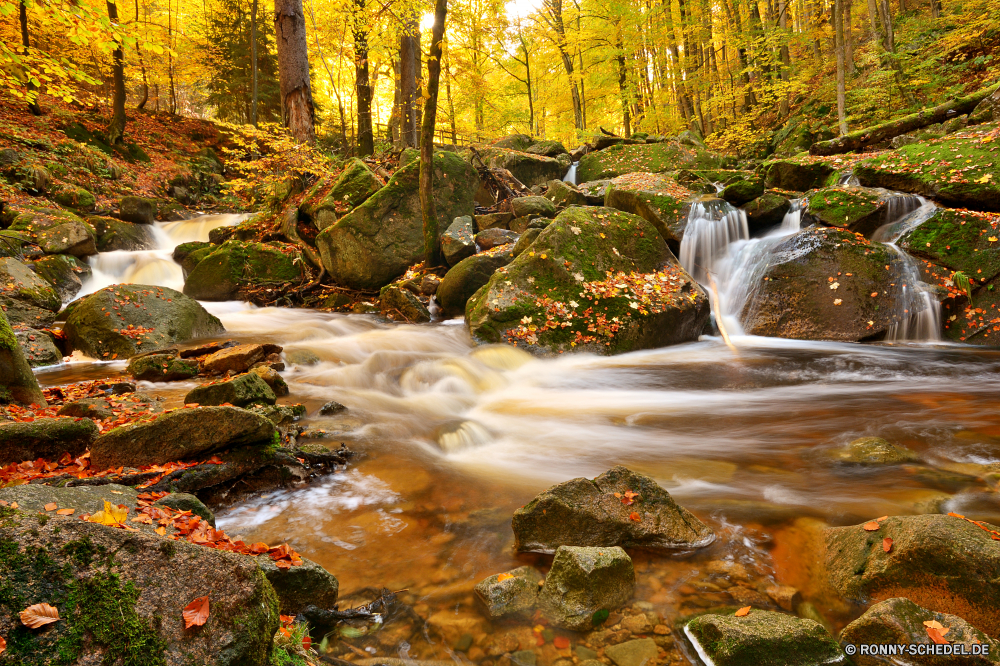 Ilsetal Wasserfall Brunnen Fluss Wald Stream Fels Wasser Struktur Park Stein Landschaft fallen Baum Umgebung Creek Kaskade im freien natürliche fließende Frühling Moos Wild Berg Bewegung Blatt Reisen Bäume Herbst Wildnis landschaftlich Strömung Sommer platsch Belaubung friedliche glatte Szenerie im freien Reinigen Berge frisch Ökologie gelassene Tourismus Steine nass Blätter nationalen Felsen fällt Saison Szene ruhige Holz Pflanze frische Luft Wandern üppige Land fallen Wasserfälle Kühl bunte Gras Flüsse felsigen Erholung Hölzer gelb Entwicklung des ländlichen klar Reinheit Landschaft entspannende Drop plantschen Abenteuer Frieden rasche seidige Erhaltung Garten niemand Farben erfrischende Bewegung Tropischer Geschwindigkeit Bach Sonnenlicht Bereich Brücke reine aquatische Urlaub SWIFT steilen Wanderung Licht Tag Busch sonnig Schwall Farbe Dschungel Gelassenheit Postkarte verschwommen idyllische Schlucht Ruhe Sonne lebendige saisonale waterfall fountain river forest stream rock water structure park stone landscape fall tree environment creek cascade outdoor natural flowing spring moss wild mountain motion leaf travel trees autumn wilderness scenic flow summer splash foliage peaceful smooth scenery outdoors clean mountains fresh ecology serene tourism stones wet leaves national rocks falls season scene tranquil wood plant freshness hiking lush country falling waterfalls cool colorful grass rivers rocky recreation woods yellow rural clear purity countryside relaxing drop splashing adventure peace rapid silky conservation garden nobody colors refreshing movement tropical speed brook sunlight area bridge pure aquatic vacation swift steep hike light day bush sunny torrent color jungle serenity postcard blurred idyllic canyon calm sun vibrant seasonal