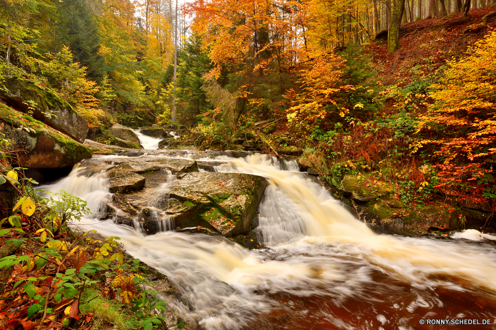 Ilsetal Schlucht Fluss Wasserfall Schlucht Wald Wasser Stream Fels Landschaft Tal Stein fallen Berg Park Creek Umgebung Kaskade Baum Wildnis Moos Wild Strömung fließende im freien Bewegung Bäume natürliche depression Felsen Reisen natürliche landschaftlich im freien Frühling Herbst Szenerie friedliche Berge fällt Tourismus frisch glatte platsch nass Wandern Ökologie Reinigen Sommer frische Luft Belaubung Steine Blatt fallen Entwicklung des ländlichen Drop Wasserfälle gelassene klar Geschwindigkeit nationalen Land Blätter Szene ruhige felsigen Saison Bewegung bunte Flüsse plantschen Erholung üppige Abenteuer Pflanze SWIFT rasche Garten Kühl Hölzer Gras entspannende seidige Wanderung Brücke Bach steilen Urlaub Ausführen verschwommen erfrischende Erhaltung Klippe Ruhe Landschaft Kaskaden Körper des Wassers Farben Tag gelb kalt macht Holz Flüssigkeit Farbe Wanderweg Golden Kanal Orange Postkarte See woody plant niemand canyon river waterfall ravine forest water stream rock landscape valley stone fall mountain park creek environment cascade tree wilderness moss wild flow flowing outdoor motion trees natural depression rocks travel natural scenic outdoors spring autumn scenery peaceful mountains falls tourism fresh smooth splash wet hiking ecology clean summer freshness foliage stones leaf falling rural drop waterfalls serene clear speed national country leaves scene tranquil rocky season movement colorful rivers splashing recreation lush adventure plant swift rapid garden cool woods grass relaxing silky hike bridge brook steep vacation running blurred refreshing conservation cliff calm countryside cascades body of water colors day yellow cold power wood liquid color trail golden channel orange postcard lake woody plant nobody