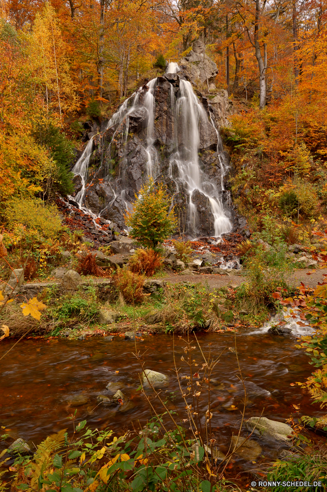 Radauer Wasserfall Baum Wald Landschaft fallen Strauch Herbst Fluss Wildnis woody plant Park Bäume Pflanze Wasser vascular plant Stein Umgebung Fels Szenerie Berg Stream Wasserfall im freien natürliche im freien landschaftlich Stechginster Reisen Garten Blätter Saison Frühling Blatt Hölzer Wild bunte ruhige Tourismus Berge Belaubung Moos friedliche gelb fließende Entwicklung des ländlichen Sommer Strömung Kaskade Szene Felsen Gras Creek Himmel Orange frisch gelassene Farben Pfad Urlaub fällt Blume Holz frische Luft nass Farbe Ruhe Landschaft Branch glatte entspannende Wandern Land saisonale Golden Frieden Reinigen Straße Land Sonne außerhalb Ahorn Ökologie nationalen Wiese Blumen fallen Panorama Bewegung zu Fuß Wüste Plastiktüte Feld Pflanzen See Horizont Kraut Wasserfälle hell klar Wanderweg üppige Bewuchs Wolken idyllische Struktur Licht Flora Sonnenlicht Tag tree forest landscape fall shrub autumn river wilderness woody plant park trees plant water vascular plant stone environment rock scenery mountain stream waterfall outdoors natural outdoor scenic gorse travel garden leaves season spring leaf woods wild colorful tranquil tourism mountains foliage moss peaceful yellow flowing rural summer flow cascade scene rocks grass creek sky orange fresh serene colors path vacation falls flower wood freshness wet color calm countryside branch smooth relaxing hiking country seasonal golden peace clean road land sun outside maple ecology national meadow flowers falling panorama motion walk desert plastic bag field plants lake horizon herb waterfalls bright clear trail lush vegetation clouds idyllic structure light flora sunlight day