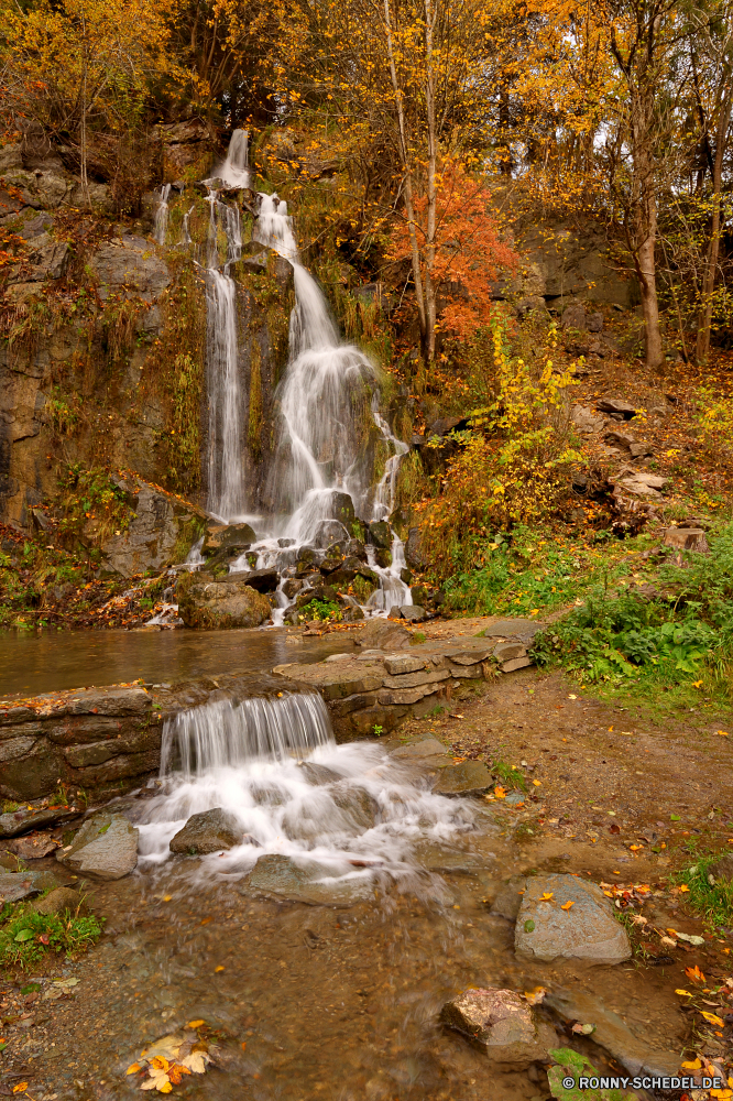 Königshütter Wasserfall Wasserfall Stream Fluss Wasser Fels Wald Kaskade Stein Landschaft Park fällt Wildnis fallen Berg Frühling Umgebung fließende Baum im freien Kanal Reisen Strömung Felsen Moos Creek Wild Brunnen Körper des Wassers natürliche Bewegung im freien fallen platsch friedliche landschaftlich Tourismus Struktur Sommer Bäume nass glatte Wasserfälle frisch felsigen Szenerie Berge Blatt Eis gelassene Kühl ruhige Reinigen Ökologie Pflanze Schlucht Abenteuer rasche geologische formation Belaubung nationalen Land Kristall Klippe Hölzer Erhaltung Schlucht Szene Flüsse Frieden Wanderung plantschen Herbst Geschwindigkeit Wandern Holz frische Luft Steine Geysir SWIFT entspannende Drop Tropischer Kaskaden Erholung solide üppige Extreme klar Bach Sonnenlicht See Paradies Saison erfrischend Tal Stromschnellen Dschungel erfrischende natürliche depression Pazifischer Nordwesten Bereich hoch Flüssigkeit Teich gischt macht Garten Urlaub Entwicklung des ländlichen Blätter waterfall stream river water rock forest cascade stone landscape park falls wilderness fall mountain spring environment flowing tree outdoor channel travel flow rocks moss creek wild fountain body of water natural motion outdoors falling splash peaceful scenic tourism structure summer trees wet smooth waterfalls fresh rocky scenery mountains leaf ice serene cool tranquil clean ecology plant ravine adventure rapid geological formation foliage national country crystal cliff woods conservation canyon scene rivers peace hike splashing autumn speed hiking wood freshness stones geyser swift relaxing drop tropical cascades recreation solid lush extreme clear brook sunlight lake paradise season refreshment valley rapids jungle refreshing natural depression pacific northwest area high fluid pond spray power garden vacation rural leaves