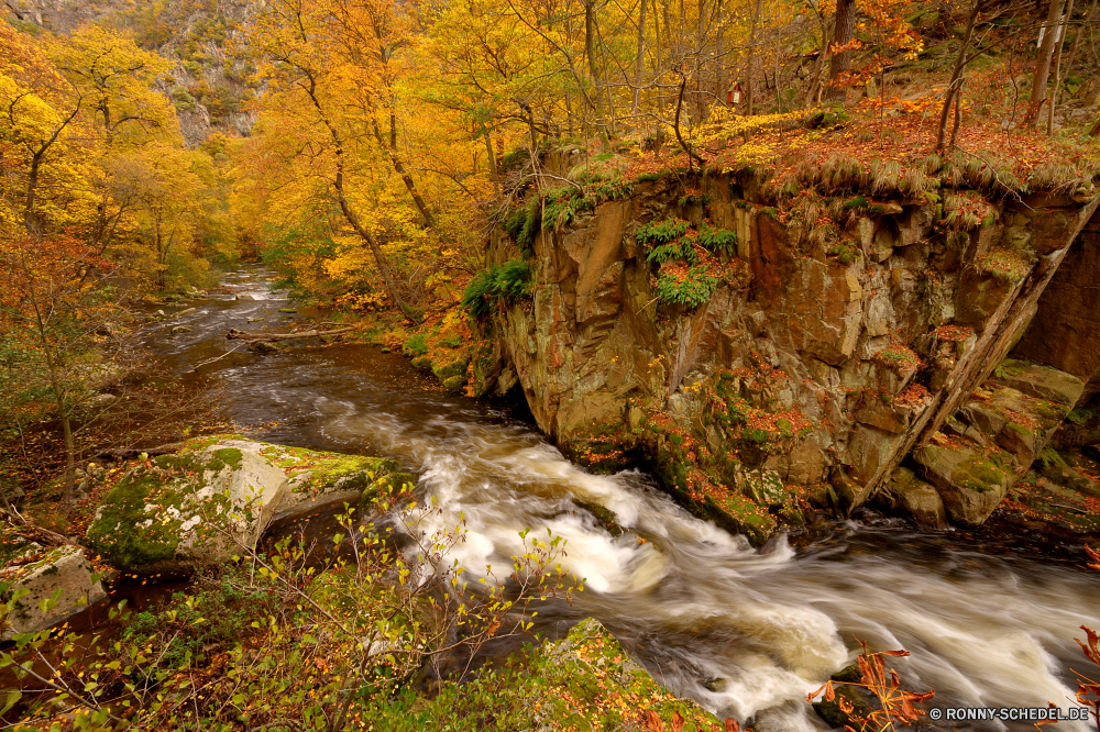 Bodetal Baum Herbst Wald woody plant fallen Landschaft Park vascular plant Fluss Bäume gelb Belaubung Blatt Saison Wasser Szenerie im freien Blätter Umgebung natürliche landschaftlich Pflanze Orange bunte Berg Strauch Landschaft Fels im freien Golden Farben Entwicklung des ländlichen Branch Szene Holz Stream Garten friedliche Hölzer Stein See Ahorn Reisen Ökologie Land Gras Wild Creek Wandern Wildnis Wasserfall Moos Flora Farbe Land Zweige Tourismus Frühling Braun Straße Pfad ruhige Reinigen Waldland hell üppige frisch gelassene Schlucht Kofferraum Himmel klar Busch Tag fließende Reflexion frische Luft Frieden Drop am Morgen Urlaub nass saisonale Wanderweg Brücke Bewegung Zaun Berge Sonne Gold entspannende nationalen Licht Boden steilen Wanderweg Steinmauer Aussicht Jahreszeiten Nebel ruhig Perspektive Sonnenaufgang tree autumn forest woody plant fall landscape park vascular plant river trees yellow foliage leaf season water scenery outdoor leaves environment natural scenic plant orange colorful mountain shrub countryside rock outdoors golden colors rural branch scene wood stream garden peaceful woods stone lake maple travel ecology land grass wild creek hiking wilderness waterfall moss flora color country branches tourism spring brown road path tranquil clean woodland bright lush fresh serene canyon trunk sky clear bush day flowing reflection freshness peace drop morning vacation wet seasonal trail bridge movement fence mountains sun gold relaxing national light ground steep footpath stone wall vista seasons fog quiet perspective sunrise