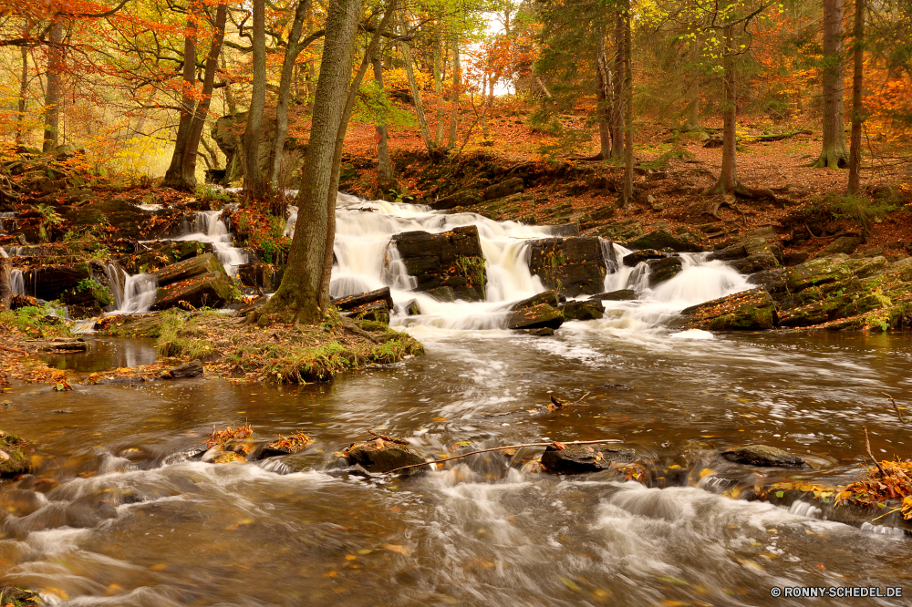 Selketal Eis Wald Fluss Landschaft Baum Kristall Bäume Schnee fallen Wasser Park Herbst Stream Winter solide natürliche Saison im freien Berg kalt Umgebung Stein Szenerie Entwicklung des ländlichen Fels Hölzer Reisen Wetter landschaftlich Berge Wasserfall im freien Himmel Holz Szene See Landschaft Frost gefroren Land Blätter Blatt saisonale Creek Branch Belaubung Moos Garten Land gelb Wandern Müll Tourismus Wild ruhig bunte Farben Pflanze frisch Gras entspannende Warenkorb Sumpf ruhige am Morgen schneebedeckt Kofferraum Handwagen sonnig Farbe Felsen Wildnis Frühling Ruhe Frieden Drop Straße Reflexion Sonne Tal klar Nebel Schaufel Golden Brücke gelassene Radfahrzeug fließende Feuchtgebiet Urlaub nationalen Sonnenlicht steilen Einfrieren abgedeckt Nebel Zweige Postkarte Sitzbank Bewegung Reinigen frische Luft Kiefer Licht Ökologie friedliche glatte Erholung woody plant Sommer Parkbank ice forest river landscape tree crystal trees snow fall water park autumn stream winter solid natural season outdoor mountain cold environment stone scenery rural rock woods travel weather scenic mountains waterfall outdoors sky wood scene lake countryside frost frozen country leaves leaf seasonal creek branch foliage moss garden land yellow hiking rubbish tourism wild quiet colorful colors plant fresh grass relaxing shopping cart swamp tranquil morning snowy trunk handcart sunny color rocks wilderness spring calm peace drop road reflection sun valley clear mist shovel golden bridge serene wheeled vehicle flowing wetland vacation national sunlight steep freeze covered fog branches postcard bench movement clean freshness pine light ecology peaceful smooth recreation woody plant summer park bench