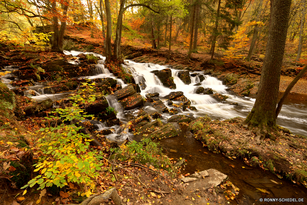 Selketal Wald Steinmauer Baum Zaun Landschaft Bäume Park Barrier Herbst Fluss fallen Wasser Berg im freien landschaftlich Umgebung natürliche Obstruktion Blatt Birke Belaubung Entwicklung des ländlichen im freien Hölzer Szenerie Gras Labyrinth Saison Holz Branch Reisen Blätter Fels Wildnis Stein Straße Stream Pfad Frühling sonnig ruhige Wandern Sommer Pflanze Berge woody plant Wild Szene friedliche Land Sonnenlicht gelb Schnee Sonne Farben bunte Struktur Landschaft üppige Tourismus Land kalt Himmel Winter See Mauer Wasserfall Wanderweg klar Golden Garten Tag Kiefer vascular plant Moos Creek alt Jahreszeiten Boden Braun Orange Reinigen Frieden Eis Waldland Kofferraum Busch hell frisch Wetter frische Luft Neu Flora Wachstum saisonale Wanderung Zweige gelassene idyllische Schalter nationalen Fantasie nass aus Holz forest stone wall tree fence landscape trees park barrier autumn river fall water mountain outdoor scenic environment natural obstruction leaf birch foliage rural outdoors woods scenery grass maze season wood branch travel leaves rock wilderness stone road stream path spring sunny tranquil hiking summer plant mountains woody plant wild scene peaceful land sunlight yellow snow sun colors colorful structure countryside lush tourism country cold sky winter lake wall waterfall trail clear golden garden day pine vascular plant moss creek old seasons ground brown orange clean peace ice woodland trunk bush bright fresh weather freshness new flora growth seasonal hike branches serene idyllic switch national fantasy wet wooden