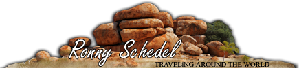 Ronny Schedel - Traveling Around The World