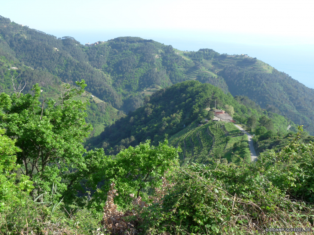 Cinque Terre Berg Landschaft Wildnis Berge Bereich Baum Wald Tal Hochland Fluss Reisen Himmel Fels Hügel landschaftlich Szenerie Wasser im freien Bäume Park Sommer Tourismus Wolken woody plant Spitze nationalen Stein im freien Gras hoch Schlucht ruhige Wandern Umgebung Klippe vascular plant Szene geologische formation Hügel Schnee Panorama Pflanze Wolke Tag Kiefer Steigung felsigen Felsen See natürliche Herbst Landschaften sonnig Land Aufstieg Stream Wüste Straße Entwicklung des ländlichen übergeben in der Nähe Alp friedliche Landschaft Urlaub Grat Alpen Gelände niemand Wanderweg Schlucht gelassene Reise Insel Tourist Wetter southern beech mountain landscape wilderness mountains range tree forest valley highland river travel sky rock hill scenic scenery water outdoors trees park summer tourism clouds woody plant peak national stone outdoor grass high canyon tranquil hiking environment cliff vascular plant scene geological formation hills snow panorama plant cloud day pine slope rocky rocks lake natural autumn scenics sunny land ascent stream desert road rural pass near alp peaceful countryside vacation ridge alps terrain nobody trail ravine serene journey island tourist weather southern beech