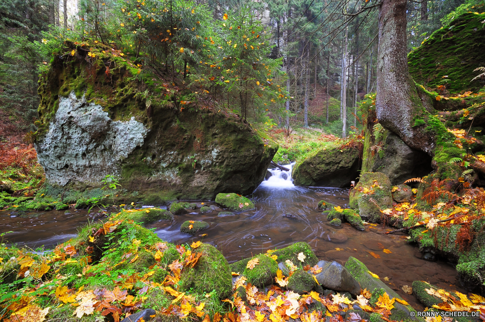 Khaatal Baum Wald woody plant Park fallen Herbst Bäume Landschaft vascular plant Fluss Belaubung Wasser Blätter im freien Pflanze im freien Fels Garten Umgebung Szenerie Blatt landschaftlich Stein gelb Hölzer bunte Saison Stream natürliche Pfad Berg Wasserfall Orange Wandern Holz Szene Gras Creek friedliche Ahorn Moos Farben üppige ruhige Reisen Frühling gelassene Wild Land Landschaft Golden nass Sommer Entwicklung des ländlichen Berge Frieden Branch southern beech fließende Strömung Straße Wanderweg Busch Reinigen frische Luft Fuß klar Wildnis Tag Kaskade Tourismus frisch See Farbe Sonnenlicht platsch Eiche Schlucht Flora Sonne Wanderung Zweige sonnig hell zu Fuß Bewegung Steine Brücke Ökologie Ruhe Urlaub Land Braun Waldland Kofferraum Tropischer Entspannen Sie sich Regen Felsen Gold entspannende Drop Himmel tree forest woody plant park fall autumn trees landscape vascular plant river foliage water leaves outdoor plant outdoors rock garden environment scenery leaf scenic stone yellow woods colorful season stream natural path mountain waterfall orange hiking wood scene grass creek peaceful maple moss colors lush tranquil travel spring serene wild land countryside golden wet summer rural mountains peace branch southern beech flowing flow road trail bush clean freshness walking clear wilderness day cascade tourism fresh lake color sunlight splash oak canyon flora sun hike branches sunny bright walk motion stones bridge ecology calm vacation country brown woodland trunk tropical relax rain rocks gold relaxing drop sky