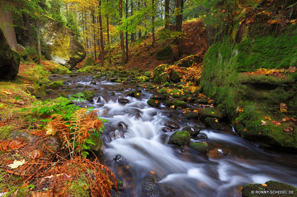 Khaatal Wasserfall Wald Fluss Stream Baum Landschaft Fels Wasser Park Stein fallen Berg Kaskade Umgebung im freien Moos Creek Bäume fließende natürliche Frühling landschaftlich Strömung Wild Reisen friedliche Herbst Bewegung platsch Wildnis Reinigen glatte Szenerie gelassene Belaubung im freien nass Sommer frisch ruhige Pflanze Blatt Felsen Berge Tourismus Wandern Blätter frische Luft Hölzer vascular plant Ökologie fallen woody plant Wasserfälle nationalen Saison Steine Entwicklung des ländlichen fällt Land üppige Garten Flüsse klar Land Szene Frieden bunte entspannende Drop Kühl Holz Ruhe felsigen Erholung Gras Schlucht Kanal Wanderung Schlucht Sonnenlicht Farben Abenteuer Geschwindigkeit seidige Brücke Bewegung See Körper des Wassers aquatische Reinheit Landschaft rasche Tal steilen Dschungel plantschen ruhig Flüssigkeit idyllische Paradies gelb Pflanzen Urlaub SWIFT Busch Postkarte erfrischende Golden Erhaltung Pfad Kaskaden Bach Tag Tropischer reine Licht Branch waterfall forest river stream tree landscape rock water park stone fall mountain cascade environment outdoor moss creek trees flowing natural spring scenic flow wild travel peaceful autumn motion splash wilderness clean smooth scenery serene foliage outdoors wet summer fresh tranquil plant leaf rocks mountains tourism hiking leaves freshness woods vascular plant ecology falling woody plant waterfalls national season stones rural falls country lush garden rivers clear land scene peace colorful relaxing drop cool wood calm rocky recreation grass canyon channel hike ravine sunlight colors adventure speed silky bridge movement lake body of water aquatic purity countryside rapid valley steep jungle splashing quiet liquid idyllic paradise yellow plants vacation swift bush postcard refreshing golden conservation path cascades brook day tropical pure light branch