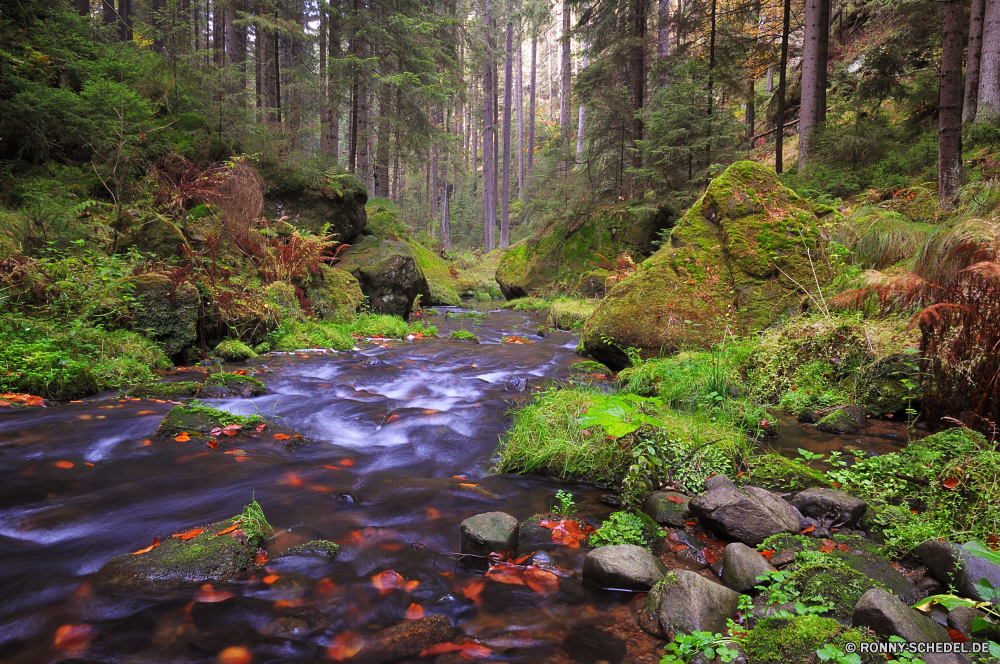 Khaatal Wald Baum Fluss Landschaft Park Stream Wasser Bäume Wasserfall fallen Berg Fels Stein im freien Creek Umgebung natürliche Herbst woody plant Land Moos Belaubung Pflanze Wild Szenerie vascular plant landschaftlich Blätter Reisen Kaskade Frühling Entwicklung des ländlichen Blatt Berge friedliche nass Sommer Wandern im freien Strömung Garten Holz üppige Hölzer southern beech ruhige Kanal Saison fließende frisch Körper des Wassers Felsen Reinigen Wildnis Bewegung bunte Schlucht platsch Frieden Gras Brücke Pfad klar Kiefer gelb Ökologie nationalen frische Luft Wanderweg Busch Urlaub Steine gelassene Szene Tropischer Landschaft entspannende rasche Tourismus Farben Land fällt Dschungel Bewuchs Branch Drop Straße Sonnenlicht seidige Wanderung Teich Tag sonnig Landschaften Golden See Ruhe glatte Erholung Bach Orange niemand Himmel Farn Regen reine Reinheit Tal Farbe Sumpf forest tree river landscape park stream water trees waterfall fall mountain rock stone outdoor creek environment natural autumn woody plant land moss foliage plant wild scenery vascular plant scenic leaves travel cascade spring rural leaf mountains peaceful wet summer hiking outdoors flow garden wood lush woods southern beech tranquil channel season flowing fresh body of water rocks clean wilderness motion colorful canyon splash peace grass bridge path clear pine yellow ecology national freshness trail bush vacation stones serene scene tropical countryside relaxing rapid tourism colors country falls jungle vegetation branch drop road sunlight silky hike pond day sunny scenics golden lake calm smooth recreation brook orange nobody sky fern rain pure purity valley color swamp