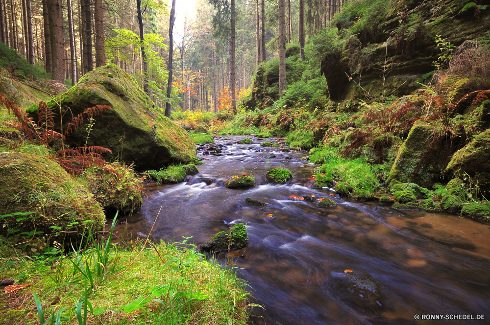 Khaatal Wald Baum Fluss Landschaft Wasser Stream Bäume Fels Park Berg Stein Land Wasserfall fallen Umgebung im freien Berge natürliche Wild Moos Creek Wildnis Kanal Reisen woody plant Belaubung landschaftlich Szenerie Schlucht Herbst Frühling Sommer Pflanze Körper des Wassers Entwicklung des ländlichen Hölzer nass Blätter im freien Strömung friedliche fließende vascular plant üppige Kiefer Kaskade Wandern Reinigen Saison Felsen Schlucht Blatt Tal frisch nationalen Holz platsch klar Brücke ruhige Gras felsigen Garten Sumpf Ökologie bunte southern beech Land gelassene Szene Bewegung Frieden Landschaft Aufstieg Sonnenlicht Wanderweg Farben frische Luft Sonne Bewuchs Landschaften Steine Regen Tag Tropischer See Tourismus Urlaub rasche Dschungel Gelände Busch gelb Pfad glatte entspannende am Morgen Flora Bach fällt niemand sonnig Golden Himmel Hügel Drop Feuchtgebiet Straße Erholung Steigung forest tree river landscape water stream trees rock park mountain stone land waterfall fall environment outdoor mountains natural wild moss creek wilderness channel travel woody plant foliage scenic scenery canyon autumn spring summer plant body of water rural woods wet leaves outdoors flow peaceful flowing vascular plant lush pine cascade hiking clean season rocks ravine leaf valley fresh national wood splash clear bridge tranquil grass rocky garden swamp ecology colorful southern beech country serene scene motion peace countryside ascent sunlight trail colors freshness sun vegetation scenics stones rain day tropical lake tourism vacation rapid jungle terrain bush yellow path smooth relaxing morning flora brook falls nobody sunny golden sky hill drop wetland road recreation slope