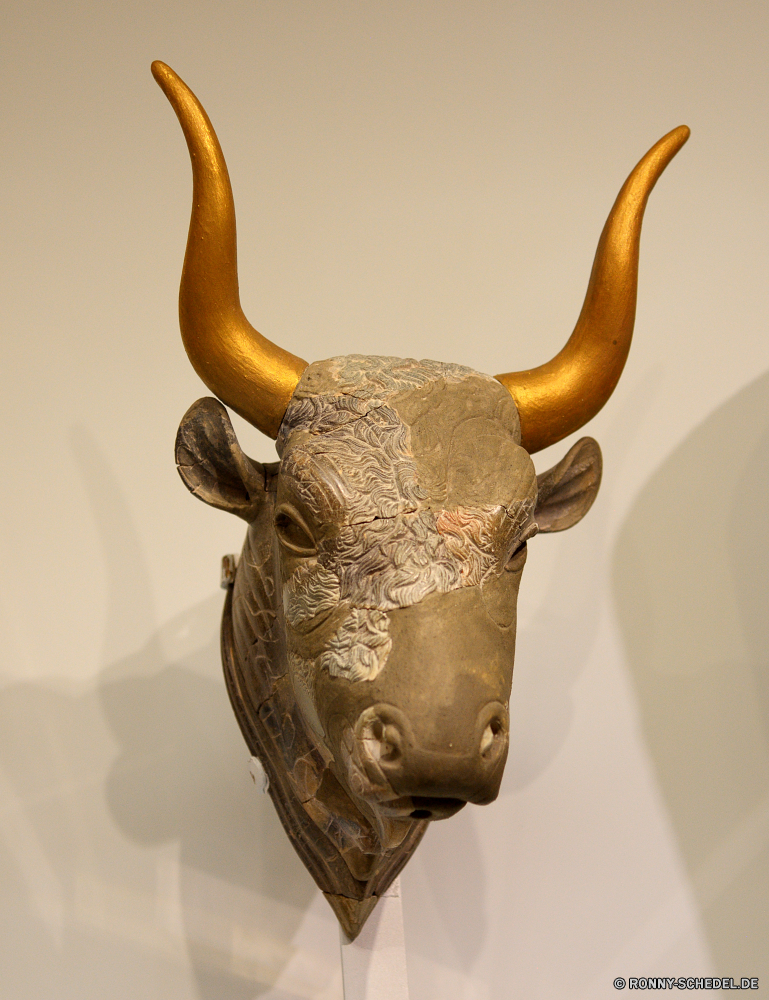 Archäologisches Museum Heraklion Säugetier Tier Stier Wildtiere Bronze Skulptur Horn Safari Wild Gesicht Hörner Statue Kopf Kunst Kuh alt gefährliche Maske Gras Reisen Nashorn Büffel Rinder Kultur Pflanzenfresser Religion Tierwelt Amulett Büste Holz Männchen fünf reservieren Nase Braun Antik Antike Wildnis Rindern Park Container Nashorn Gehörnte Erhaltung Tiere Charme Rindfleisch Bauernhof Objekt Geschichte Schließen plastic art Bespannung Schiff macht Feld religiöse Pelz Museum nationalen Metall Dekoration schwarz aus Holz mammal animal bull wildlife bronze sculpture horn safari wild face horns statue head art cow old dangerous mask grass travel rhinoceros buffalo cattle culture herbivore religion fauna amulet bust wood male five reserve nose brown antique ancient wilderness bovine park container rhino horned conservation animals charm beef farm object history close plastic art covering vessel power field religious fur museum national metal decoration black wooden