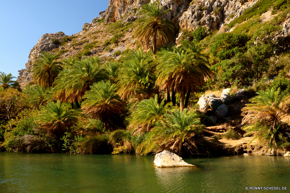 Preveli Palm Beach Baum woody plant vascular plant Landschaft Wasser Pflanze Reisen Palm Strand Tropischer Bäume Insel Meer Sommer Himmel Ozean Wald Urlaub landschaftlich Sand Berg Sonne cabbage tree Paradies Küste Fluss im freien Urlaub Tourismus Park Szenerie Resort im freien Kiefer Wolke Berge Fels See Kokosnuss Wildnis idyllische Umgebung sonnig Lagune ruhige Entspannen Sie sich Küste Ufer friedliche exotische natürliche Stein Blatt Ruhe Wolken Blätter Reflexion Bucht Szene Farbe Tag Klippe Dschungel Klima Welle Frühling Garten Reiseziele Gras Ziel Entspannung nationalen Flora Türkis Stream Reise Reise Belaubung Erholung Sonnenlicht klar Tropen southern beech Urlaub Boot Tourist am Morgen Wachstum Herbst tree woody plant vascular plant landscape water plant travel palm beach tropical trees island sea summer sky ocean forest vacation scenic sand mountain sun cabbage tree paradise coast river outdoors holiday tourism park scenery resort outdoor pine cloud mountains rock lake coconut wilderness idyllic environment sunny lagoon tranquil relax coastline shore peaceful exotic natural stone leaf calm clouds leaves reflection bay scene color day cliff jungle climate wave spring garden destinations grass destination relaxation national flora turquoise stream trip journey foliage recreation sunlight clear tropics southern beech holidays boat tourist morning growth autumn