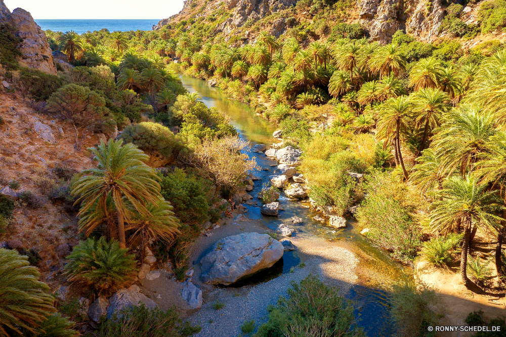 Preveli Palm Beach Baum woody plant Landschaft vascular plant Fels Berg Pflanze Wald Park Himmel Stein im freien Fluss Wasser Kaktus Reisen fallen Bäume im freien Berge Wüste Wildnis Schlucht southern beech natürliche Sommer Tourismus nationalen landschaftlich Herbst Tal Urlaub Szenerie Felsen Umgebung Kiefer Meer Hügel Belaubung friedliche ruhige Ozean bunte Tropischer Gras Wolken Klippe Sonne Garten Strauch Strand Tag Insel Tourist Aushöhlung Sonnenlicht Wandern Hölzer Sand Stream Wolke sonnig Palm Frühling Strömung Saison Geologie Spitze Blätter Bewuchs Wild Feld Ruhe Riff Küste Südwesten Wasserfall üppige Szene Grat Panorama Pfad Straße Flora Urlaub Moos Coral reef Farbe Blatt aquatische außerhalb Licht Ökologie Frieden gelb Orange Schlucht Polyp nass Bereich tree woody plant landscape vascular plant rock mountain plant forest park sky stone outdoor river water cactus travel fall trees outdoors mountains desert wilderness canyon southern beech natural summer tourism national scenic autumn valley vacation scenery rocks environment pine sea hill foliage peaceful tranquil ocean colorful tropical grass clouds cliff sun garden shrub beach day island tourist erosion sunlight hiking woods sand stream cloud sunny palm spring flow season geology peak leaves vegetation wild field calm reef coast southwest waterfall lush scene ridge panorama path road flora holiday moss coral reef color leaf aquatic outside light ecology peace yellow orange ravine polyp wet range