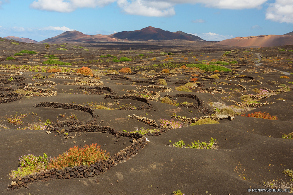 Lanzarote Hochland Landschaft Berg Himmel Reisen Fels Berge Wüste Land im freien Sand Hügel Gras Sommer landschaftlich Tourismus Wolken Bereich Stein Entwicklung des ländlichen Baum Park Szenerie Wasser trocken Tal natürliche Szene Umgebung im freien Pflanze Landschaft Wolke Straße Fluss Reiner Feld Steppe Schlucht Horizont niemand nationalen Wildnis Wald Felsen sonnig heiß Wiese Hügel Panorama Land Vulkan See Insel Sonne Schmutz Frühling friedliche gelb Klippe Arid felsigen Spitze Wandern Busch Bereich Farbe Wärme Wetter fallen Urlaub Schnee Wild Boden Tag Strauch ruhige Krater Bauernhof Licht Sonnenlicht Landwirtschaft bunte hoch Geologie Stream ruhig Landschaften Abenteuer Pfad Belaubung Ruhe Steigung Grat Bäume Herbst highland landscape mountain sky travel rock mountains desert land outdoor sand hill grass summer scenic tourism clouds range stone rural tree park scenery water dry valley natural scene environment outdoors plant countryside cloud road river plain field steppe canyon horizon nobody national wilderness forest rocks sunny hot meadow hills panorama country volcano lake island sun dirt spring peaceful yellow cliff arid rocky peak hiking bush area color heat weather fall vacation snow wild ground day shrub tranquil crater farm light sunlight agriculture colorful high geology stream quiet scenics adventure path foliage calm slope ridge trees autumn