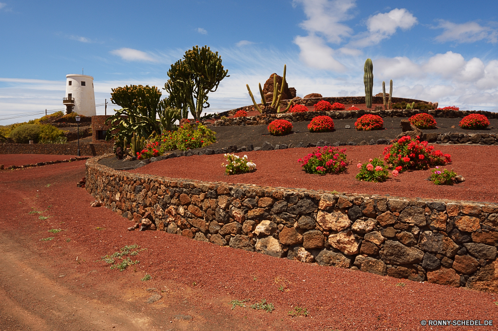 Lanzarote Ziegeldach Dach Schutzüberzug Bespannung Architektur Reisen Gebäude Haus Himmel Tourismus Mauer Kirche alt Landschaft Geschichte Stadt Turm Baum Wahrzeichen Kloster Stadt historischen Antike Religion Fliese Kultur Tourist Stein historische Szenerie Wolken Sommer traditionelle Palast landschaftlich aussenansicht Bedachungen Tempel Dorf Berg Park religiöse berühmte Residenz mittelalterliche religiöse Residenz Panorama Backstein Urban im freien Bau Urlaub Fels Wolke Hügel Schloss Wasser Material im freien Panorama Szene Felsen Ziel Denkmal Pflanzen Kürbis Küste Bäume Häuser Gras Antik Meer Gebäude Straße nationalen Sonne Stadtansicht Garten Feld Ufer Struktur Landschaft Sand Ausrüstung tile roof roof protective covering covering architecture travel building house sky tourism wall church old landscape history town tower tree landmark monastery city historic ancient religion tile culture tourist stone historical scenery clouds summer traditional palace scenic exterior roofing temple village mountain park religious famous residence medieval religious residence panorama brick urban outdoors construction vacation rock cloud hill castle water material outdoor panoramic scene rocks destination monument plants pumpkin coast trees houses grass antique sea buildings street national sun cityscape garden field shore structure countryside sand equipment