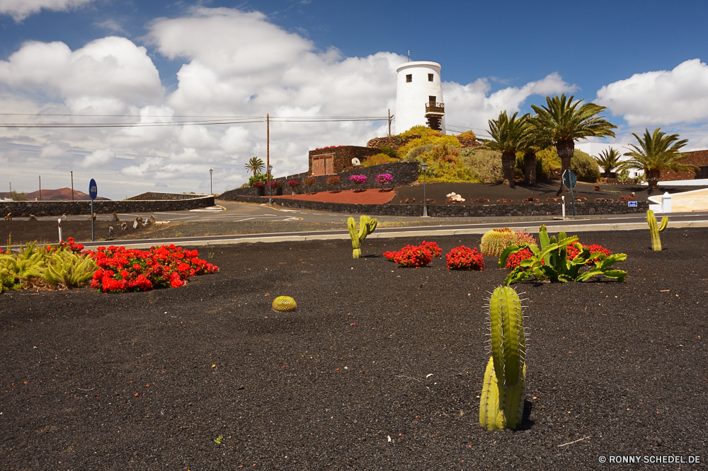 Lanzarote Himmel Landschaft Reisen Baum Haus Gebäude Park Architektur Stadt im freien Entwicklung des ländlichen Supermarkt Bäume Wasser Straße Tourismus Stadt Garten Szenerie Müll Landschaft alt Lebensmittelgeschäft Sommer landschaftlich Straße Wolken Blume traditionelle im freien Urban Hügel Gras Berge Pflanze Bauernhof Hügel Szene Wolke Kultur Turm Marktplatz Landwirtschaft Wald Blumen sonnig Verkäufer Feld Fahrzeug See Umgebung Licht fallen Horizont Auto Stein natürliche Struktur An Herbst Land bunte Frühling Palast Ozean berühmte Tourist Urlaub Berg Verkehr Startseite Transport Religion Geschichte Meer sky landscape travel tree house building park architecture city outdoors rural supermarket trees water road tourism town garden scenery rubbish countryside old grocery store summer scenic street clouds flower traditional outdoor urban hill grass mountains plant farm hills scene cloud culture tower marketplace agriculture forest flowers sunny seller field vehicle lake environment light fall horizon car stone natural structure to autumn country colorful spring palace ocean famous tourist vacation mountain transport home transportation religion history sea