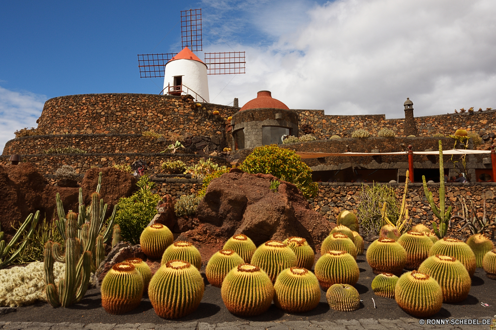 Lanzarote Kürbis Gemüse zu produzieren Wüste Essen Kaktus Darm-Trakt Vitamin Squash Obst Pflanze Himmel Reisen Landwirtschaft Sommer Heu Baum Bauernhof Feld Architektur Tourismus Ernte Kultur Orange Saison frisch Kirche im freien Stroh gelb Farbe Herbst Landschaft Runde trocken gesund natürliche Entwicklung des ländlichen Ernte Bio Ernährung traditionelle Landschaft Korbweide alt fallen Gesundheit Ernährung saisonale Dach Korb Szene Meer Landbau Gebäude Stadt Geschichte Gras süß landschaftlich Ballen Birne Apfel Früchte religiöse Denkmal im freien Tradition Religion hell Feed Land pumpkin vegetable produce desert food cactus tract vitamin squash fruit plant sky travel agriculture summer hay tree farm field architecture tourism harvest culture orange season fresh church outdoor straw yellow color autumn landscape round dry healthy natural rural crop organic nutrition traditional countryside wicker old fall health diet seasonal roof basket scene sea farming building city history grass sweet scenic bales pear apple fruits religious monument outdoors tradition religion bright feed country