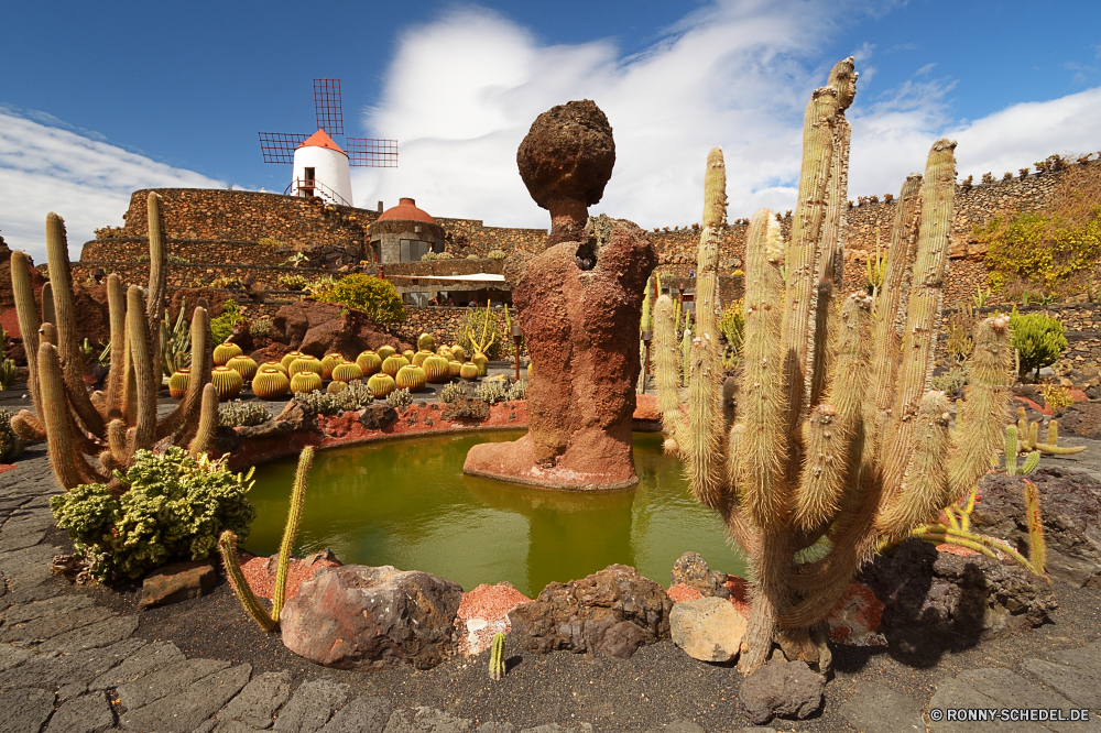 Lanzarote Kaktus Pflanze Reisen Meer Landschaft Fels Wasser Himmel Ozean Tourismus Sonne Park Koralle Wüste Unterwasser Fisch nationalen Berg Schlucht Wolken Berge Turm Marine Tauchen Szenerie Sonnenuntergang aquatische Felsen Urlaub Tropischer Sonnenlicht Sand landschaftlich im freien Baum Westen Stein Riff Schloss im freien Sonnenstrahl Klippe Tier natürliche Küste Sommer Hügel Licht Szene trocken Ufer Struktur Wahrzeichen Horizont Tauchen Salzwasser Sonnenaufgang bunte See exotische Fluss unter Formationen unter Südwesten Tauchgang westliche Wald Strahlen seelandschaft Architektur Strahl Orange Tal Tourist Kolonie geologische Sandstein Farbe Wandern Abenteuer Küste Denkmal friedliche Ruhe Befestigung am Morgen Erholung hell Bäume cactus plant travel sea landscape rock water sky ocean tourism sun park coral desert underwater fish national mountain canyon clouds mountains tower marine diving scenery sunset aquatic rocks vacation tropical sunlight sand scenic outdoor tree west stone reef castle outdoors sunbeam cliff animal natural coast summer hill light scene dry shore structure landmark horizon scuba saltwater sunrise colorful lake exotic river beneath formations below southwest dive western forest rays seascape architecture ray orange valley tourist colony geological sandstone color hiking adventure coastline monument peaceful calm fortification morning recreation bright trees