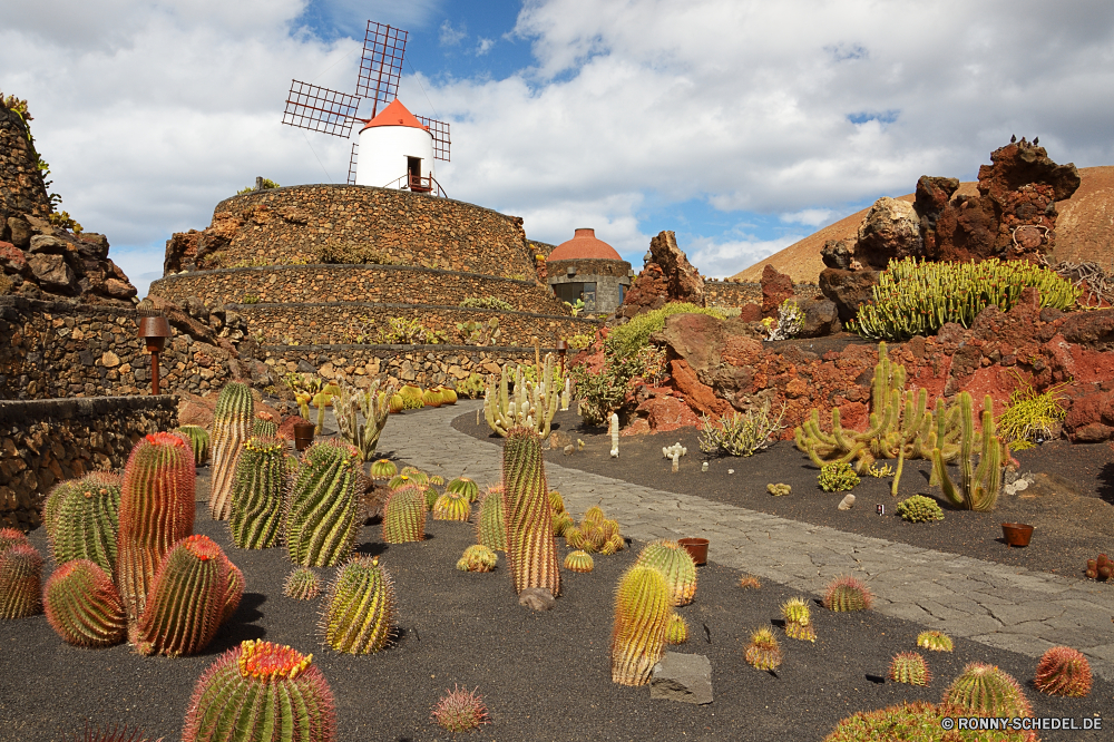 Lanzarote Kaktus Pflanze Wüste Reisen Landschaft Himmel Baum Tourismus Architektur im freien Fels Garten Berg im freien Wolken Bäume Felsen Berge Szenerie Stein Dach Pflanzen Park Blume alt Urlaub Gebäude landschaftlich historischen Schlucht Tourist Blumen natürliche Stroh Südwesten Geschichte Kirche Sommer Stadt bunte Klippe Sand historische sonnig Hügel Turm Wald Gras Pfad Saison Wasser Kürbis Schloss nationalen fallen Wahrzeichen Strauch Religion Haus stachelige Antike Wolke Panorama außerhalb Schutzüberzug woody plant Ziel Stadt Farbe Darm-Trakt Flora Sonne Licht Herbst Kakteen Struktur Aushöhlung Orange Gartenarbeit trocken Mauer Fluss Meer cactus plant desert travel landscape sky tree tourism architecture outdoors rock garden mountain outdoor clouds trees rocks mountains scenery stone roof plants park flower old vacation building scenic historic canyon tourist flowers natural thatch southwest history church summer city colorful cliff sand historical sunny hill tower forest grass path season water pumpkin castle national fall landmark shrub religion house prickly ancient cloud panorama outside protective covering woody plant destination town color tract flora sun light autumn cacti structure erosion orange gardening dry wall river sea