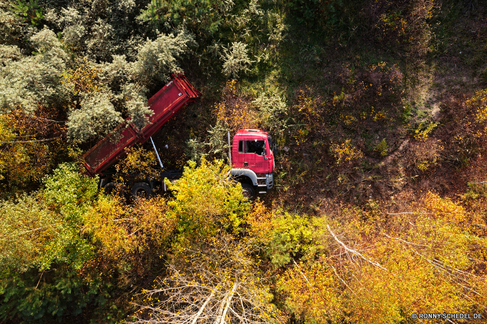  Häcksler LKW Abschleppwagen Maschine Bauernhof-Maschine Kfz Landschaft Herbst Baum Gras im freien Gerät fallen Wald Feld Himmel Entwicklung des ländlichen gelb Bäume im freien Park Wiese Saison Umgebung Ausrüstung Pflanze Landschaft Semaphore Bauernhof Sommer Reisen Farbe Radfahrzeug Blatt Land Orange Szenerie Fahrzeug Tag Apparat Sonnenlicht Hölzer Landwirtschaft Blätter Szene Auto Transport Traktor Hügel Belaubung Verkehr Holz Berg alt landschaftlich Golden außerhalb natürliche bunte Zaun Wolken Land Straße Flora Rasenmäher Sonne Frühling Landschaften ruhige Aktivität vascular plant woody plant Werkzeug Heckbagger Maschinen landwirtschaftlichen Ackerland Industrie Landbau Ernte Berge Braun Freiheit Horizont Arbeiten Garten-Werkzeug harvester truck tow truck machine farm machine motor vehicle landscape autumn tree grass outdoors device fall forest field sky rural yellow trees outdoor park meadow season environment equipment plant countryside semaphore farm summer travel color wheeled vehicle leaf country orange scenery vehicle day apparatus sunlight woods agriculture leaves scene car transportation tractor hill foliage transport wood mountain old scenic golden outside natural colorful fence clouds land road flora lawn mower sun spring scenics tranquil activity vascular plant woody plant tool backhoe machinery agricultural farmland industry farming harvest mountains brown freedom horizon working garden tool