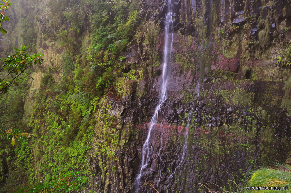 Cascada da Risco Wildnis Wald Fluss Wasserfall Stream Baum Landschaft Wasser Fels Sprinkler Park Stein Kaskade fällt Bäume Umgebung mechanisches Gerät fließende im freien Moos Reisen im freien Wild Berg natürliche fallen Strömung Frühling Creek Bewegung Felsen Mechanismus fallen Sommer glatte Berge friedliche platsch nass landschaftlich Blatt Pflanze Belaubung Tourismus gelassene Wasserfälle frisch Gerät felsigen nationalen woody plant Szene Reinigen Holz Land Ökologie ruhige Hölzer Kühl frische Luft rasche Abenteuer Gras vascular plant Geschwindigkeit üppige Wandern Erhaltung Herbst Szenerie Blätter klar Wanderung plantschen Steine macht Drop Kaskaden Stromschnellen SWIFT Bach Flüsse Erholung Bereich Schlucht Tropischer Saison Ruhe Urlaub Körper des Wassers Entwicklung des ländlichen Kanal erfrischende Brücke kalt idyllische Tag Pazifischer Nordwesten Bewuchs Land Klima Farbe Sonnenlicht nebligen niemand Nebel Schlucht Extreme Garten Regen Paradies See Pflanzen Hängebrücke Himmel wilderness forest river waterfall stream tree landscape water rock sprinkler park stone cascade falls trees environment mechanical device flowing outdoor moss travel outdoors wild mountain natural fall flow spring creek motion rocks mechanism falling summer smooth mountains peaceful splash wet scenic leaf plant foliage tourism serene waterfalls fresh device rocky national woody plant scene clean wood country ecology tranquil woods cool freshness rapid adventure grass vascular plant speed lush hiking conservation autumn scenery leaves clear hike splashing stones power drop cascades rapids swift brook rivers recreation area ravine tropical season calm vacation body of water rural channel refreshing bridge cold idyllic day pacific northwest vegetation land climate color sunlight misty nobody fog canyon extreme garden rain paradise lake plants suspension bridge sky