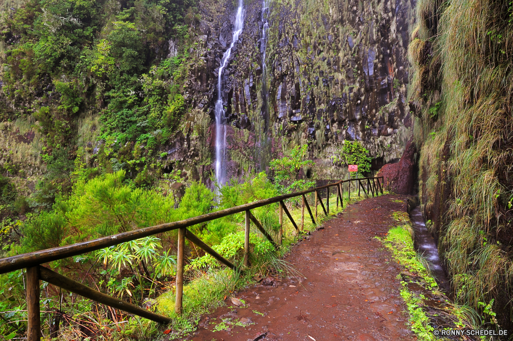 Cascada da Risco Wald Hängebrücke Brücke Baum Landschaft Bäume Struktur Park Umgebung Holz Blätter natürliche Fluss im freien Schritt Belaubung Herbst fallen Wild Hölzer Reisen Wandern Entwicklung des ländlichen Szenerie Sommer Berg Frühling Pfad Wasser Unterstützung Gras Pflanze im freien Kofferraum Wildnis Saison Wanderweg Stream Blatt landschaftlich Fels Stein Gerät Straße woody plant zu Fuß Wanderung nationalen sonnig Moos Tag üppige Sonnenlicht Berge Garten Birke Landschaft Branch Waldland Wasserfall Tourismus aus Holz Kiefer Ökologie friedliche Bereich ruhige Creek bunte Farbe Land vascular plant gelb frisch alt Dschungel durch Sonne Bewuchs Fuß Land Art und Weise frische Luft nass Wanderweg Farben Barrier klar Licht Regen Reinigen Frieden Urlaub Flora Rinde Szene Golden ruhig Tropischer Abenteuer Umwelt- Pflanzen See Drop am Morgen Schatten Mauer Himmel niemand forest suspension bridge bridge tree landscape trees structure park environment wood leaves natural river outdoor step foliage autumn fall wild woods travel hiking rural scenery summer mountain spring path water support grass plant outdoors trunk wilderness season trail stream leaf scenic rock stone device road woody plant walk hike national sunny moss day lush sunlight mountains garden birch countryside branch woodland waterfall tourism wooden pine ecology peaceful area tranquil creek colorful color country vascular plant yellow fresh old jungle through sun vegetation walking land way freshness wet footpath colors barrier clear light rain clean peace vacation flora bark scene golden quiet tropical adventure environmental plants lake drop morning shadow wall sky nobody