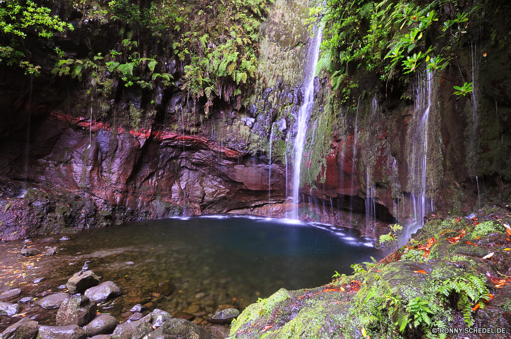 25 Fontes Brunnen Struktur Wasserfall Fluss Stream Wasser Fels Wald Landschaft Kaskade Stein Park Baum fällt Reisen fallen Umgebung im freien Creek fließende Strömung Bewegung Berg platsch Frühling natürliche Moos Bäume Felsen Tourismus Wild Wildnis fallen im freien Sommer landschaftlich friedliche Wasserfälle frisch Ökologie glatte Pflanze Abenteuer gelassene Kühl Szenerie Blatt Reinigen Berge felsigen Szene Belaubung plantschen Drop nass Steine Land Flüsse Erhaltung Herbst Blätter See nationalen ruhige woody plant Wanderung Wandern erfrischende SWIFT rasche vascular plant üppige Hölzer klar kalt entspannende frische Luft Pazifischer Nordwesten Urlaub seidige gischt Sprinkler Branch Erholung Garten Teich Bereich Saison Holz Geschwindigkeit erfrischend Gras Tropischer mechanisches Gerät macht Reinheit Insel Ruhe Sonnenlicht niemand fountain structure waterfall river stream water rock forest landscape cascade stone park tree falls travel fall environment outdoor creek flowing flow motion mountain splash spring natural moss trees rocks tourism wild wilderness falling outdoors summer scenic peaceful waterfalls fresh ecology smooth plant adventure serene cool scenery leaf clean mountains rocky scene foliage splashing drop wet stones country rivers conservation autumn leaves lake national tranquil woody plant hike hiking refreshing swift rapid vascular plant lush woods clear cold relaxing freshness pacific northwest vacation silky spray sprinkler branch recreation garden pond area season wood speed refreshment grass tropical mechanical device power purity island calm sunlight nobody