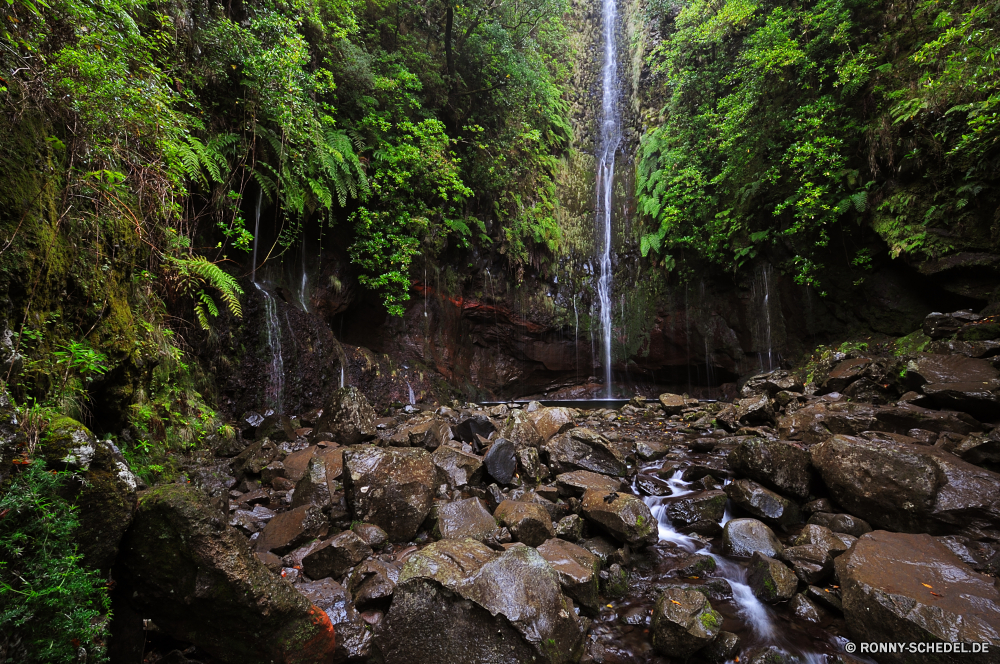 25 Fontes Baum Wald Landschaft woody plant Park Wildnis Fluss Bäume vascular plant im freien Umgebung Wasser Stream Pflanze natürliche fallen Fels Belaubung Hölzer landschaftlich Stein Berg Reisen Sommer Herbst Szenerie Holz Wandern im freien Blätter Blatt Wild Pfad Gras Wasserfall Entwicklung des ländlichen friedliche Land Frühling Saison Landschaft Creek Berge üppige Kiefer Moos ruhige Dschungel Wanderweg zu Fuß Fuß Bäumchen Szene Wanderung Straße southern beech Sonnenlicht Land Pflanzen Frieden Branch Garten Tourismus Busch bunte Farben nationalen Erholung Kofferraum Urlaub sonnig Tropischer See Sumpf nass frisch Einsamkeit Bewuchs ruhig Brücke Tag außerhalb entspannende Drop Flora Wanderweg klar Licht gelassene idyllische Felsen Reinigen am Morgen Birke gelb Feuchtgebiet Tal Bereich Regen Umwelt- platsch fließende Ökologie Ruhe Sonne Farbe hell aus Holz tree forest landscape woody plant park wilderness river trees vascular plant outdoor environment water stream plant natural fall rock foliage woods scenic stone mountain travel summer autumn scenery wood hiking outdoors leaves leaf wild path grass waterfall rural peaceful land spring season countryside creek mountains lush pine moss tranquil jungle trail walk walking sapling scene hike road southern beech sunlight country plants peace branch garden tourism bush colorful colors national recreation trunk vacation sunny tropical lake swamp wet fresh solitude vegetation quiet bridge day outside relaxing drop flora footpath clear light serene idyllic rocks clean morning birch yellow wetland valley area rain environmental splash flowing ecology calm sun color bright wooden